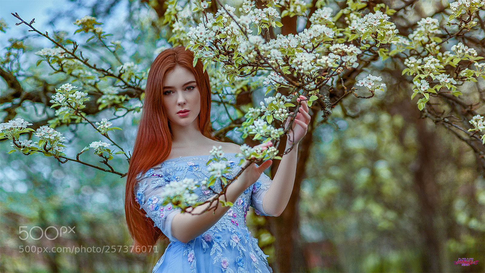 Canon EOS 5D Mark II sample photo. Alexandra bloom photography