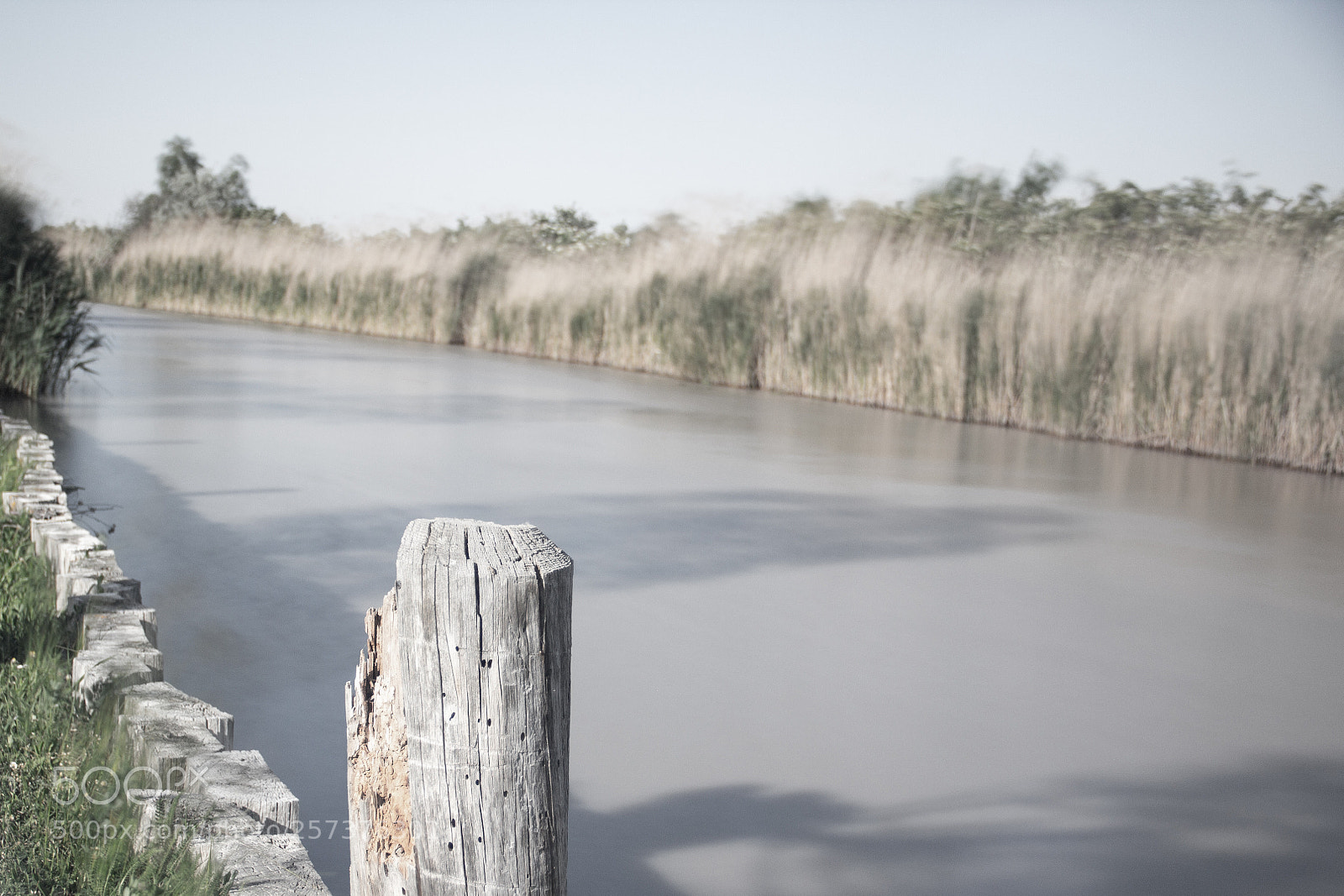 Canon EOS 60D sample photo. Dreaming photography