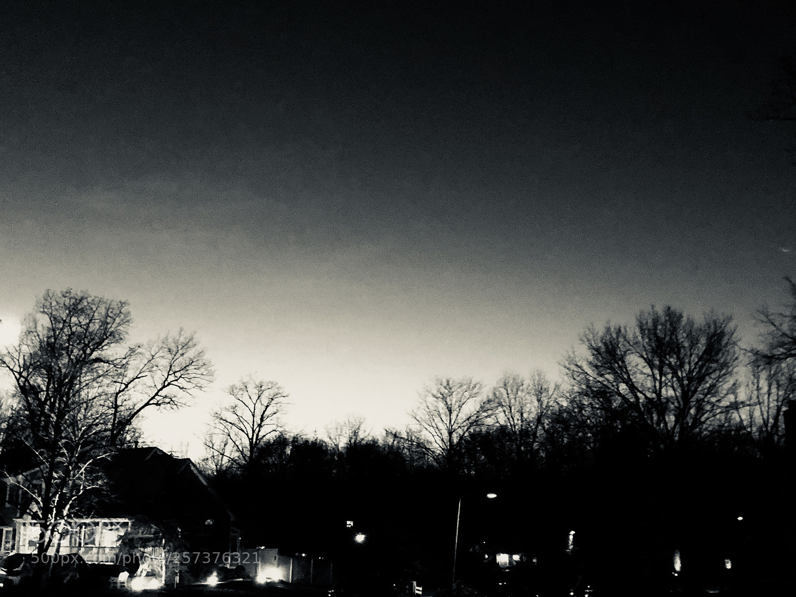 Apple iPhone 8 sample photo. This one

 photography