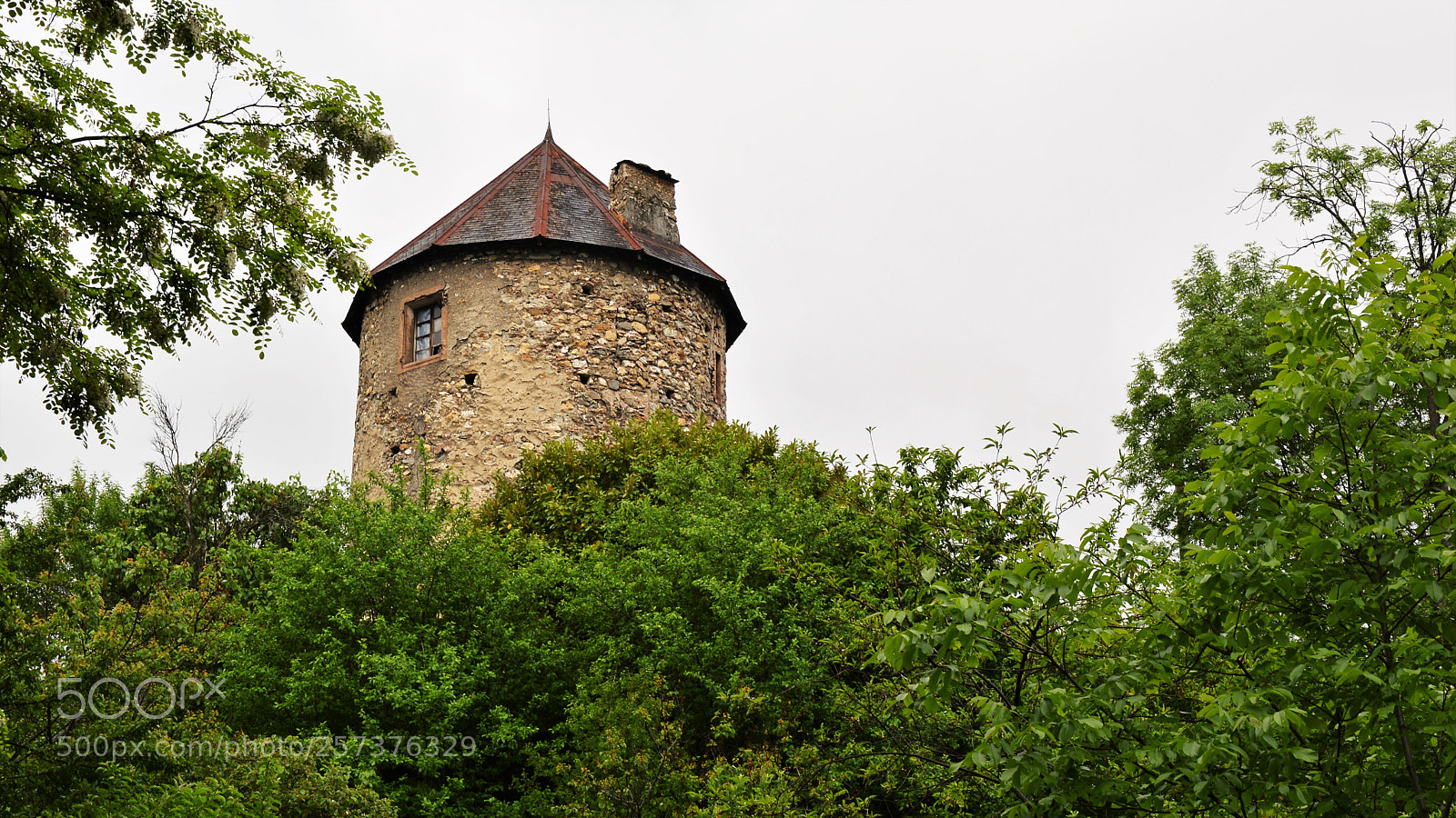 Nikon D3200 sample photo. Untitled photography