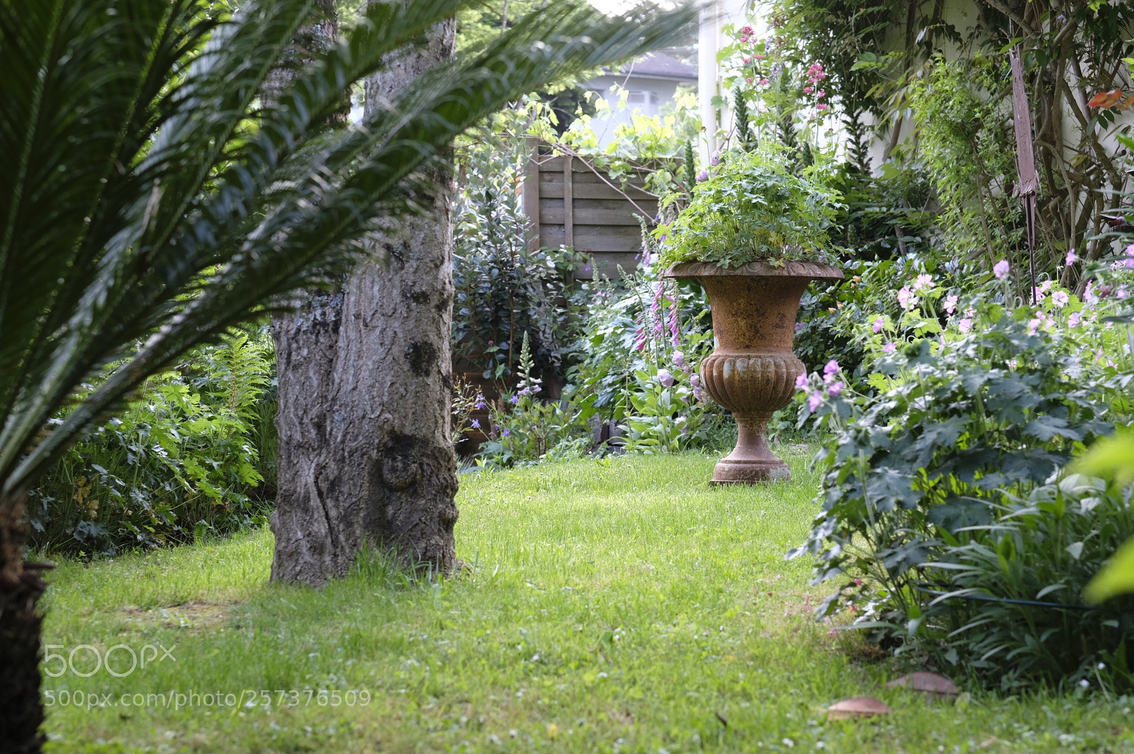 Fujifilm X-T2 sample photo. My garden photography