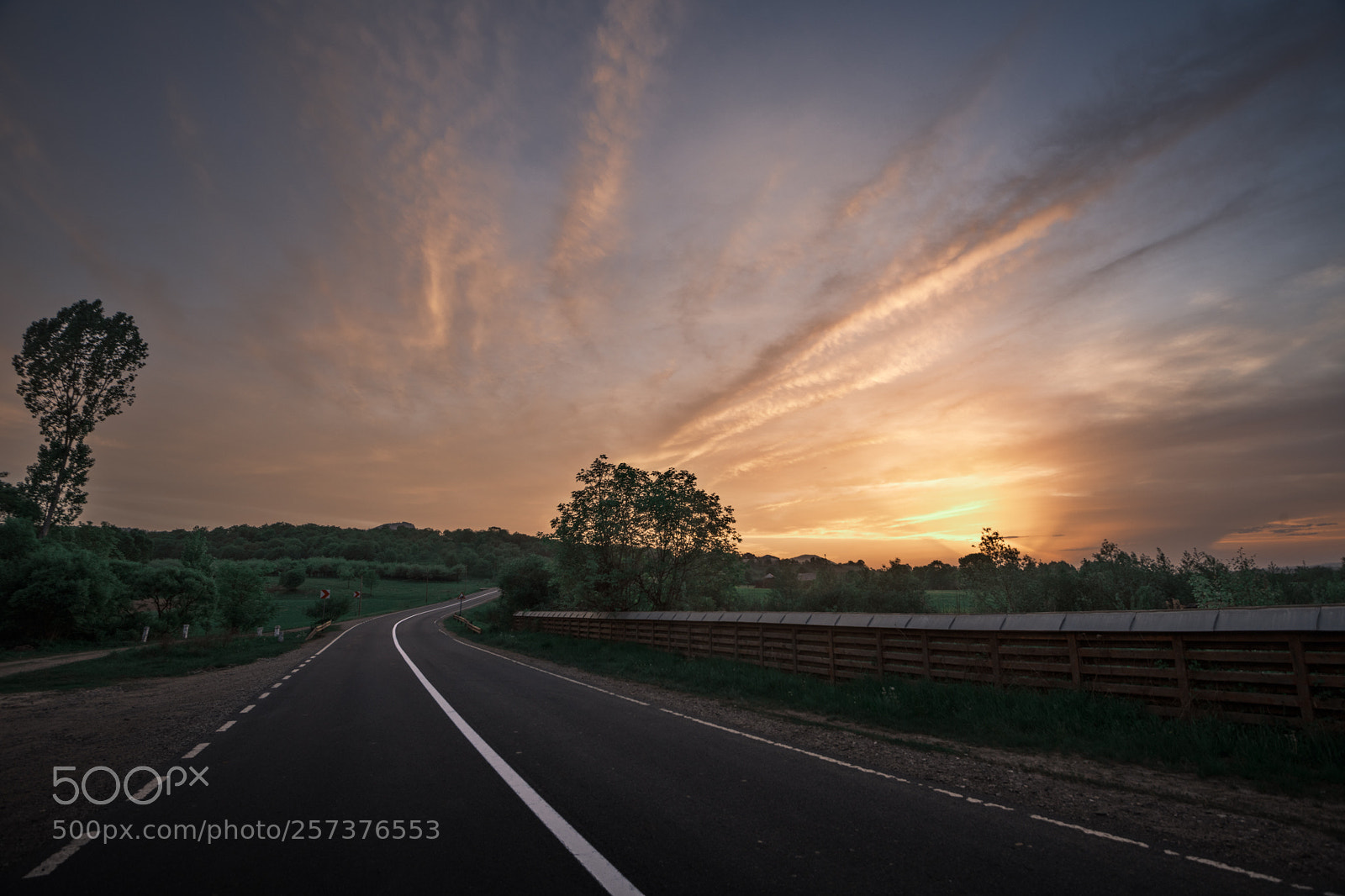 Nikon D850 sample photo. Color road photography