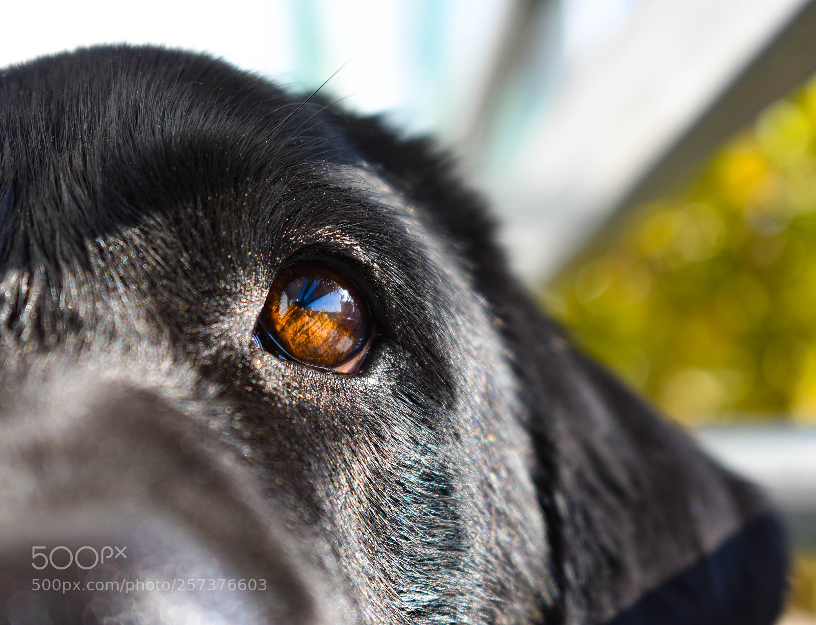 Nikon D3400 sample photo. Galaxy within her eyes photography