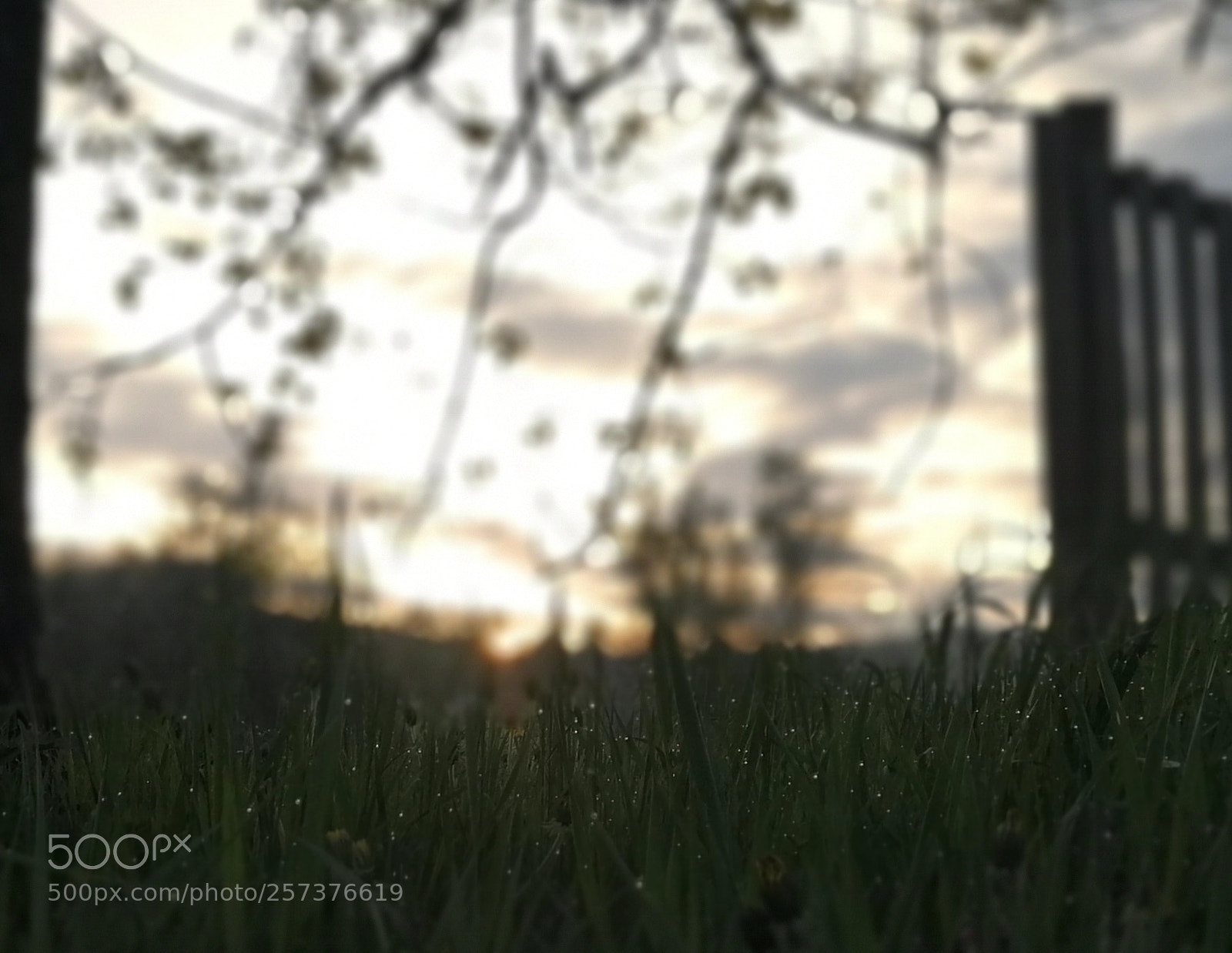 HUAWEI P10 Plus sample photo. Untitled photography