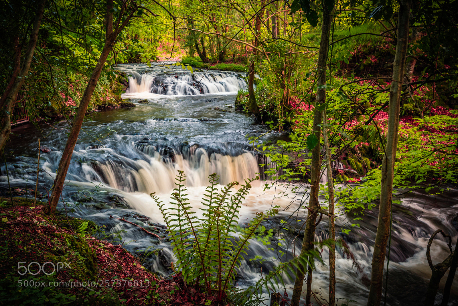 Nikon D810 sample photo. Mini falls photography