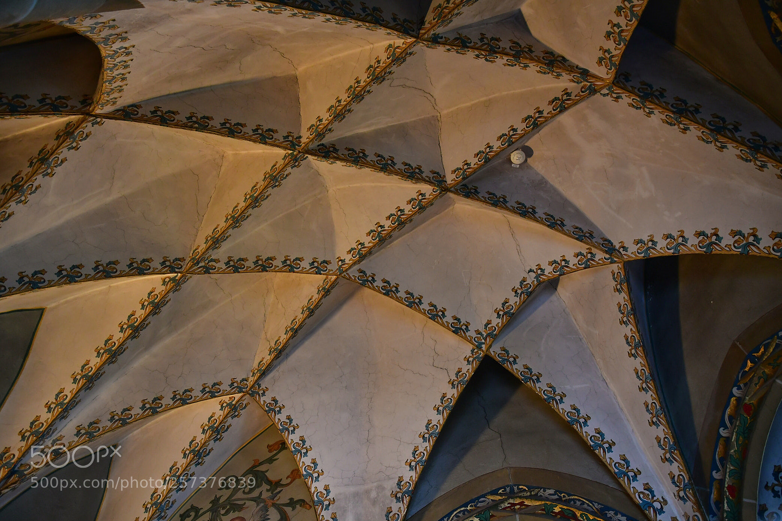 Nikon D500 sample photo. Ceiling photography