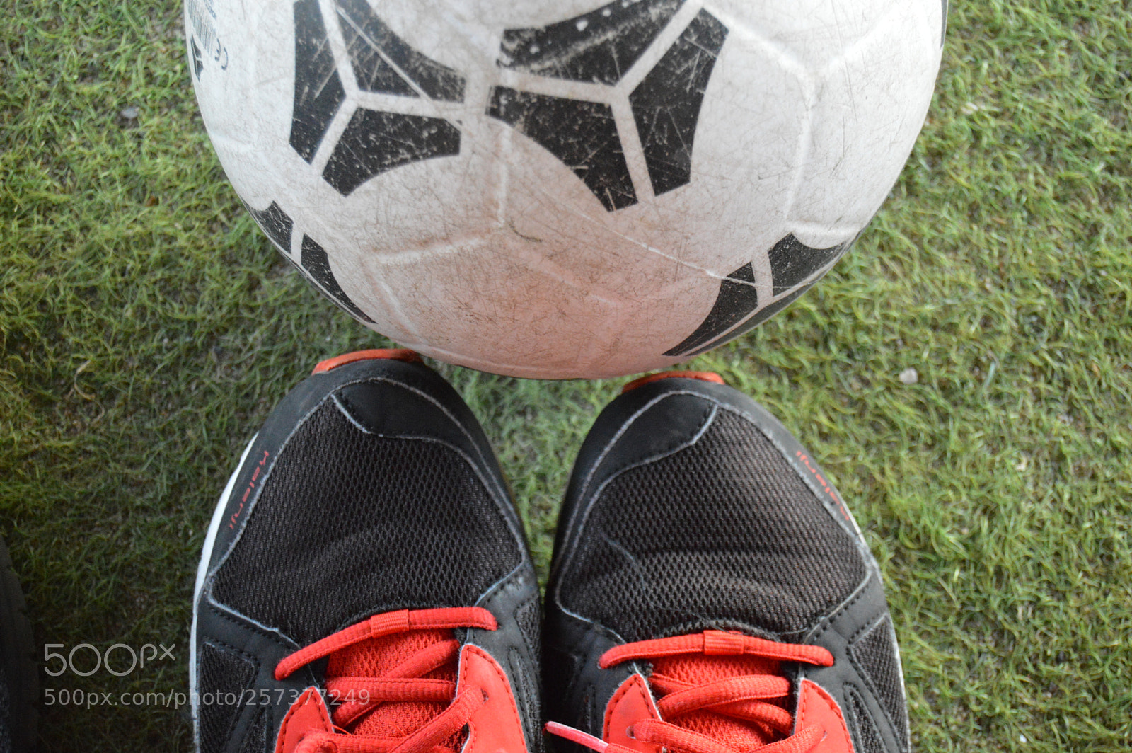 Nikon D3200 sample photo. Untitled photography