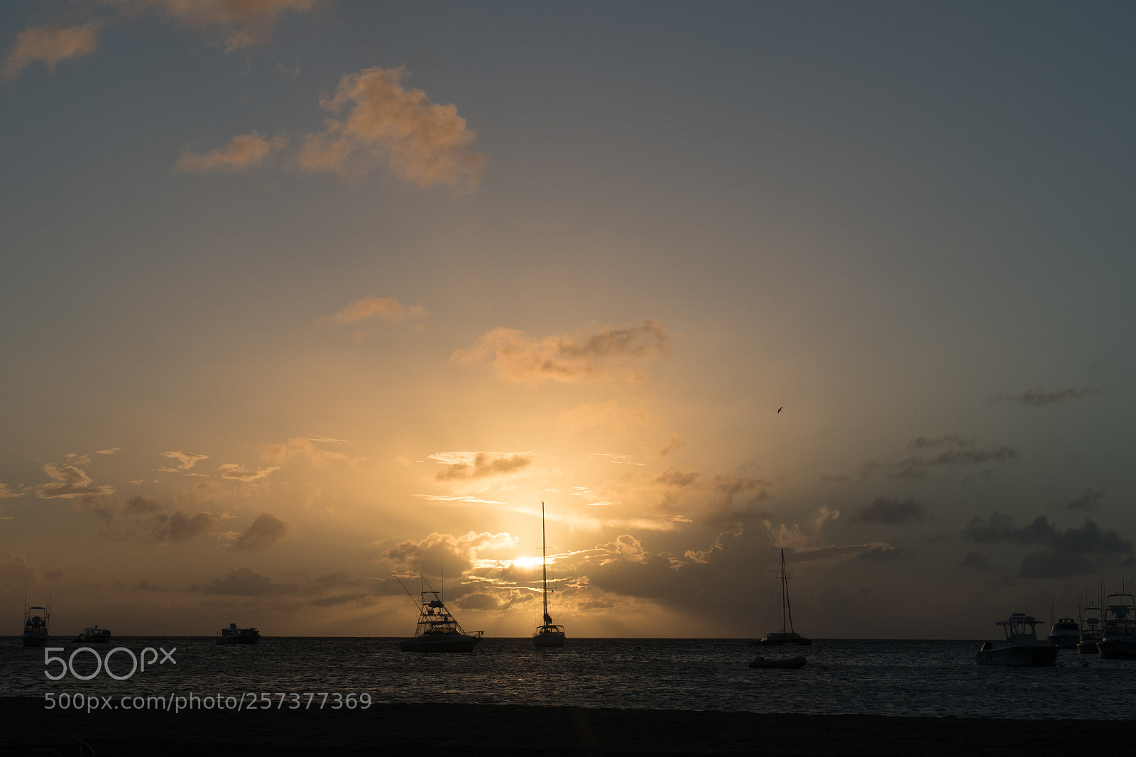 Olympus OM-D E-M5 II sample photo. Caribbean sunset photography