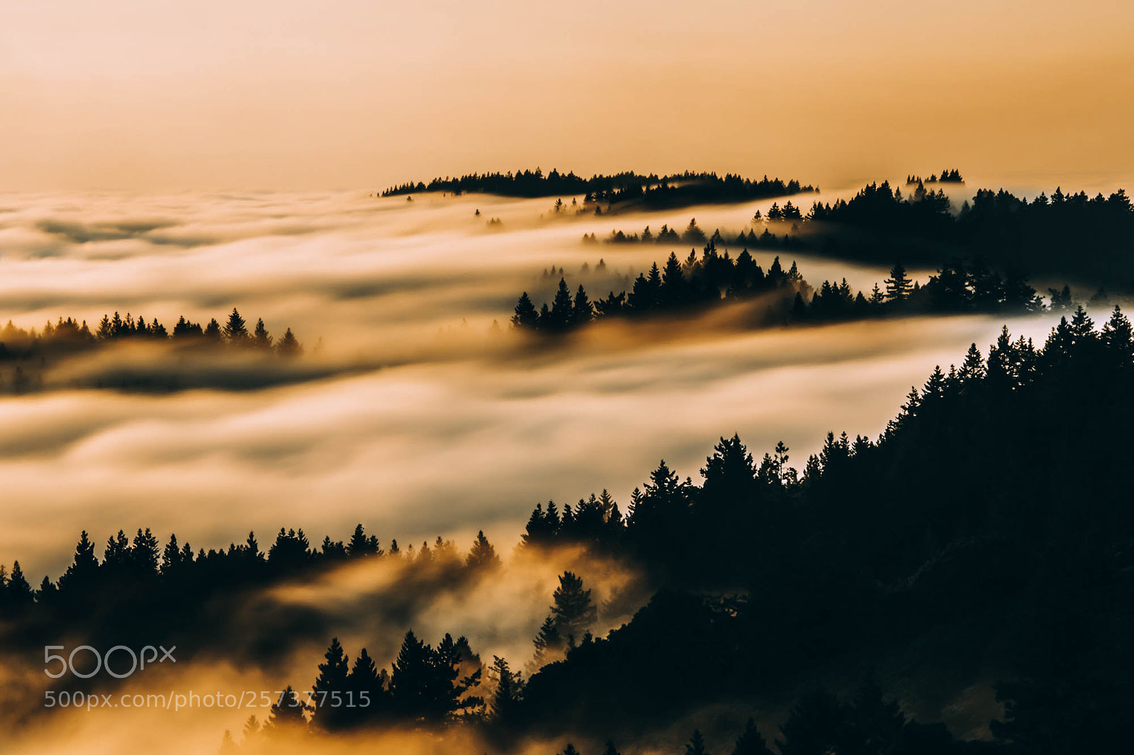 Canon EOS 6D sample photo. "smoky tones" photography