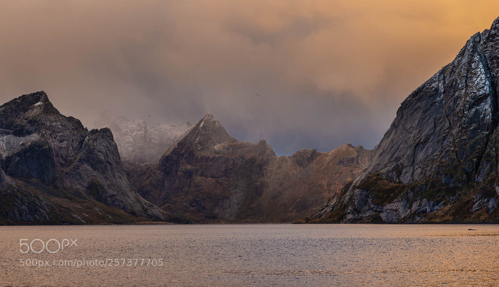 Nikon D800 sample photo. Lofoten light  photography