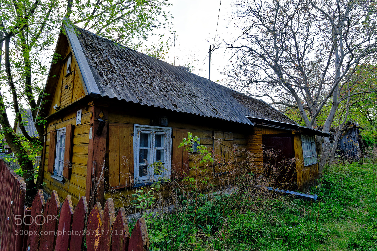 Nikon D7100 sample photo. Bojary photography