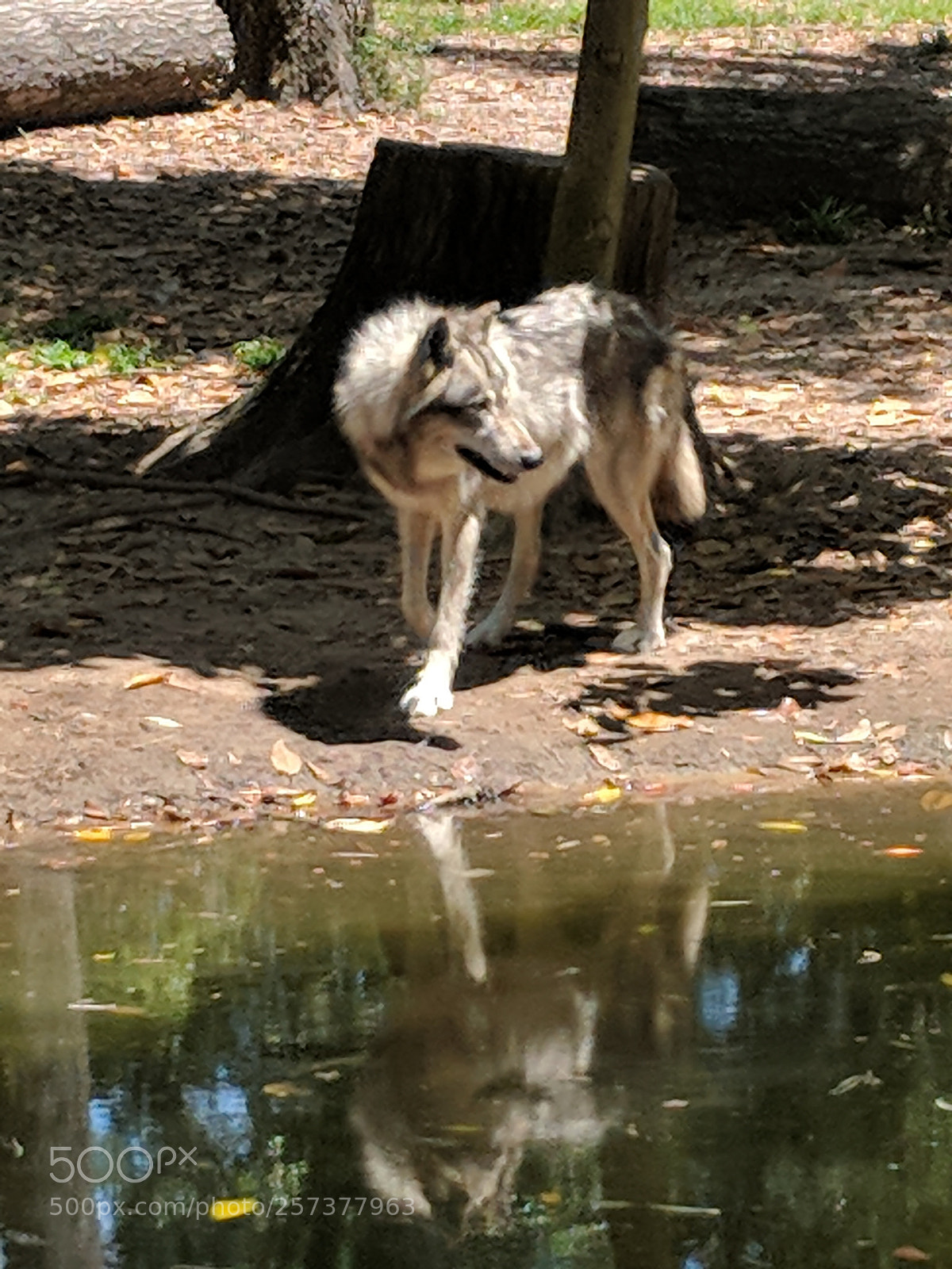 Google Pixel 2 sample photo. Untitled photography