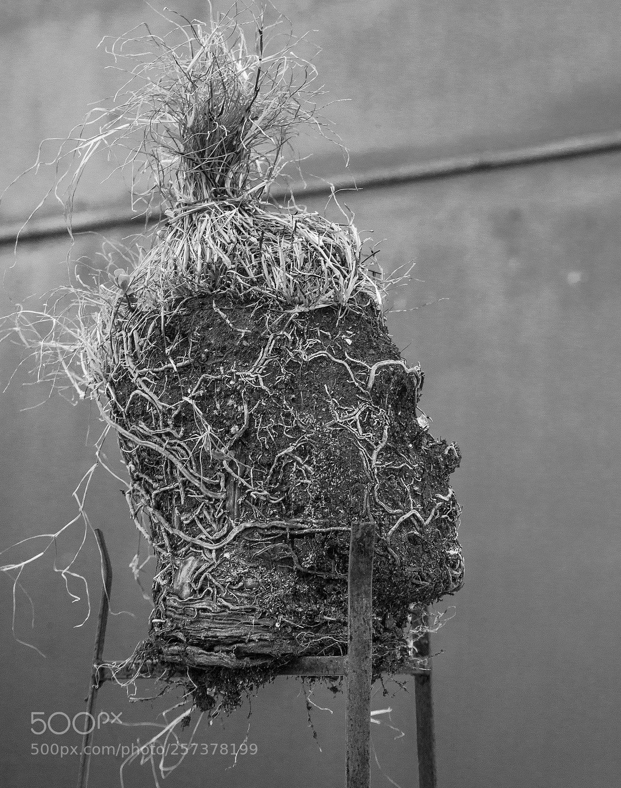 Canon EOS 5D Mark II sample photo. O primeiro adão photography