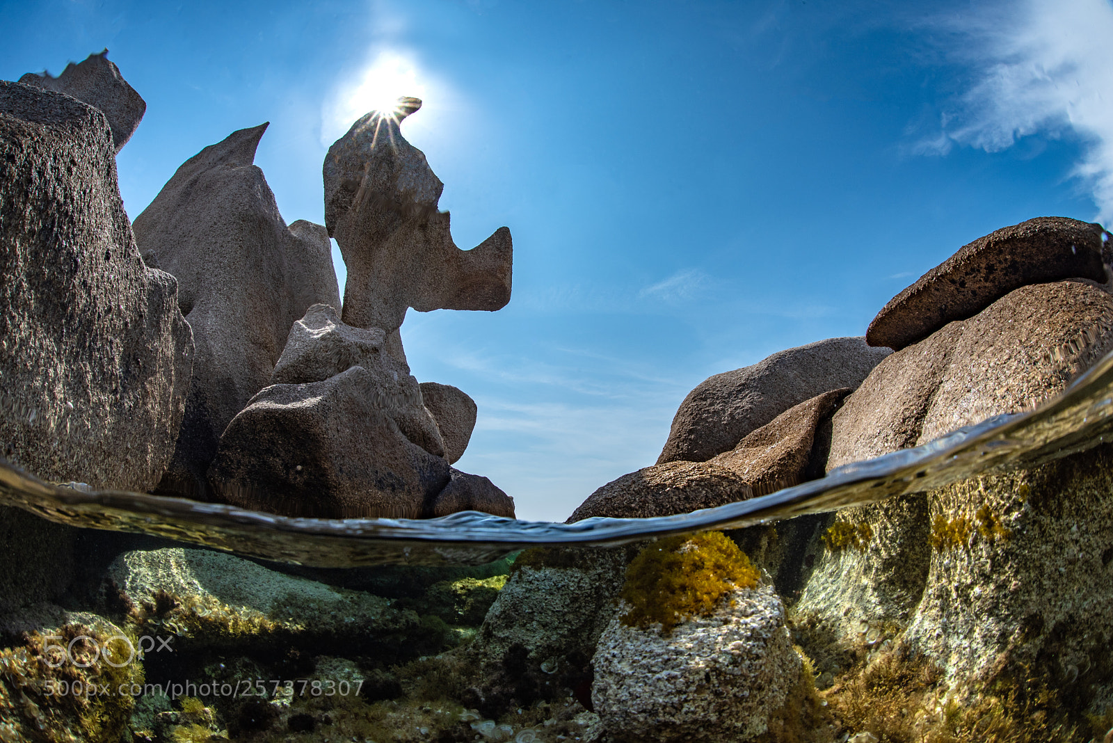 Nikon D750 sample photo. Laisser parler son imagination photography