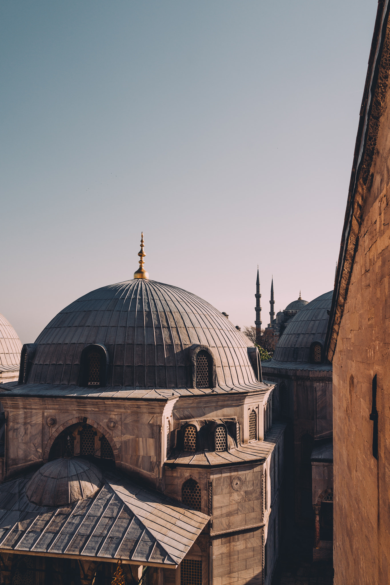 Sony Cyber-shot DSC-RX1 sample photo. Aya sofia photography