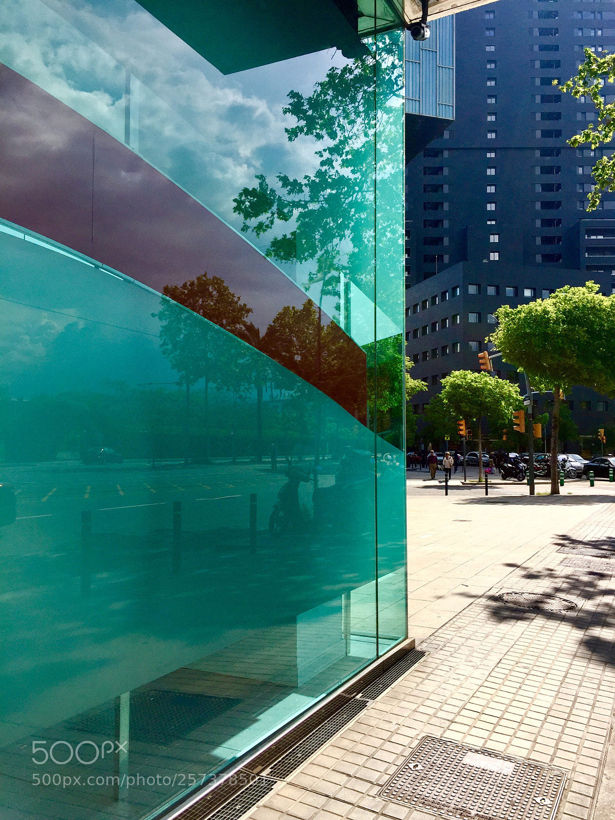 Apple iPhone 6 sample photo. Reflex photography