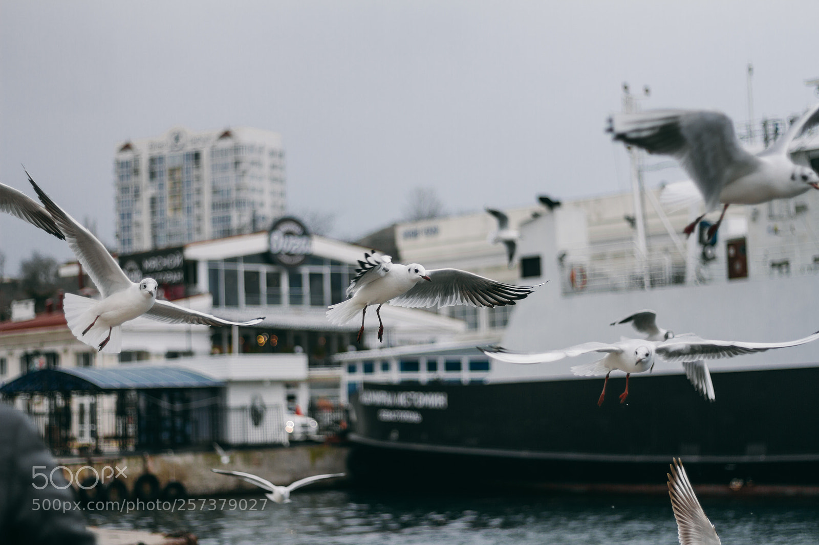 Canon EOS 7D sample photo. *** photography
