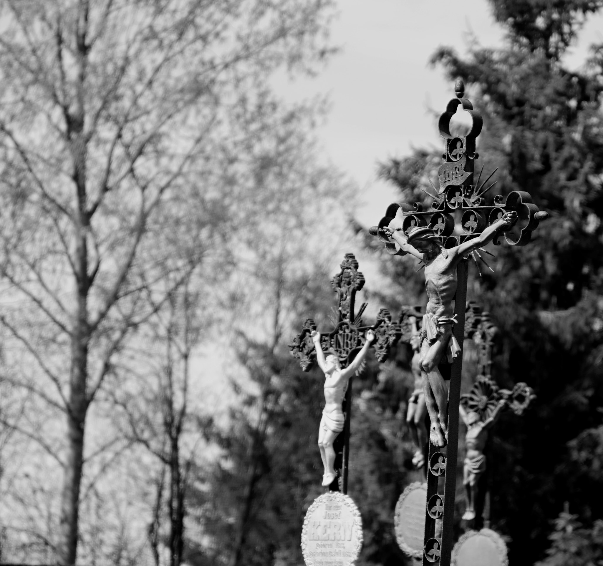 Canon EF 28-135mm F3.5-5.6 IS USM sample photo. Jesus photography