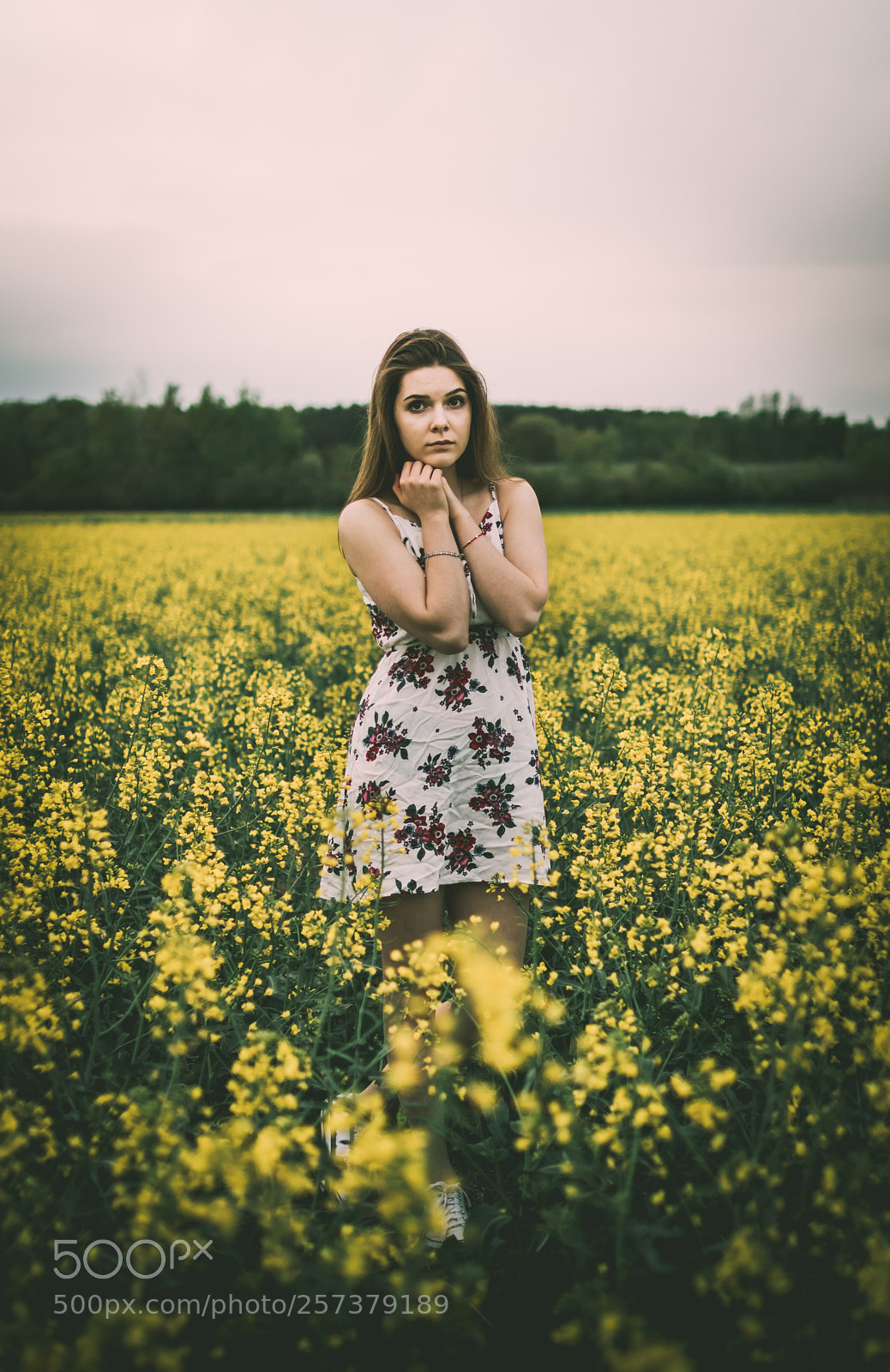 Canon EOS 760D (EOS Rebel T6s / EOS 8000D) sample photo. Gosia photography