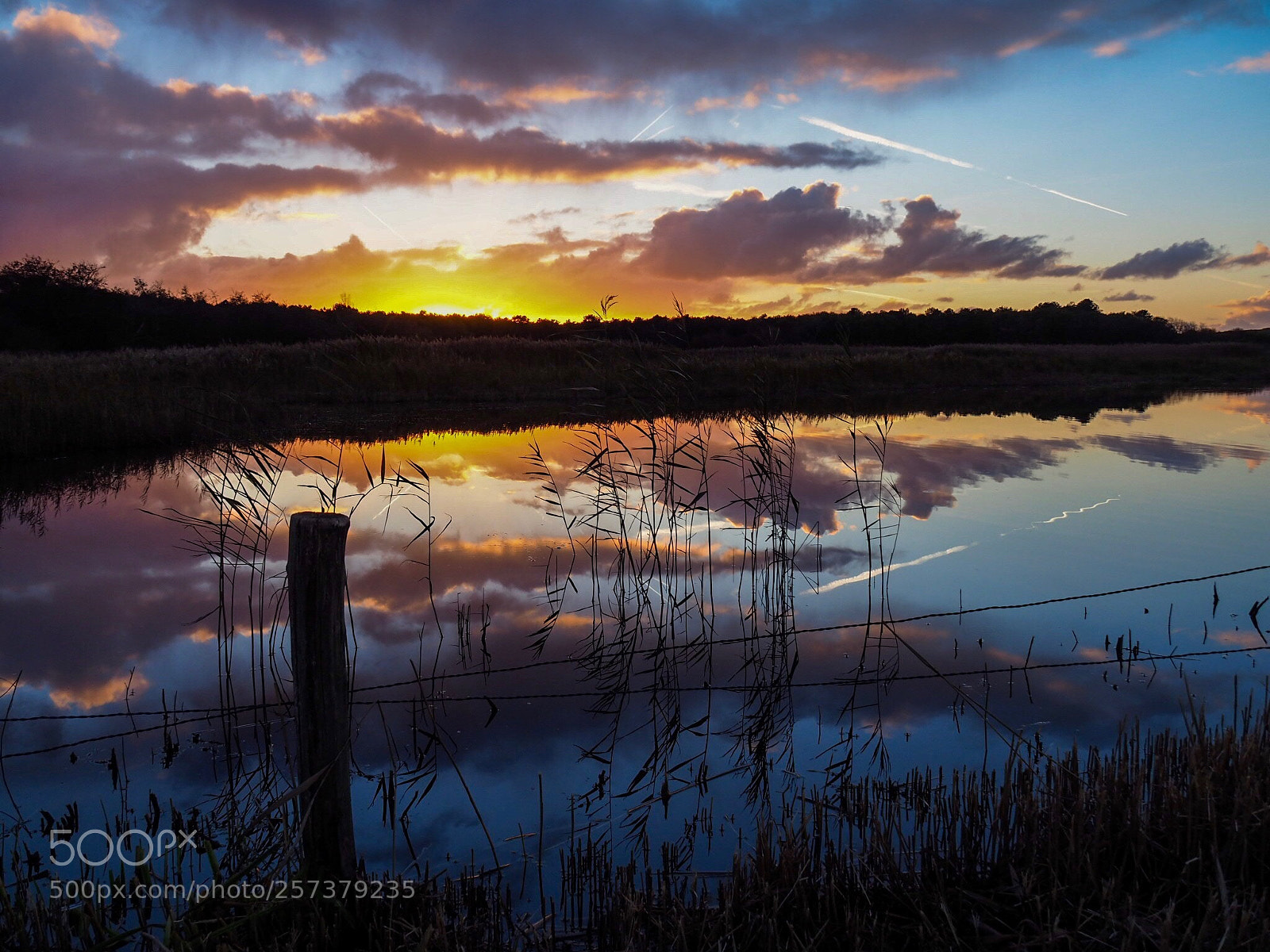 Olympus OM-D E-M10 II sample photo. Sunset reflection photography