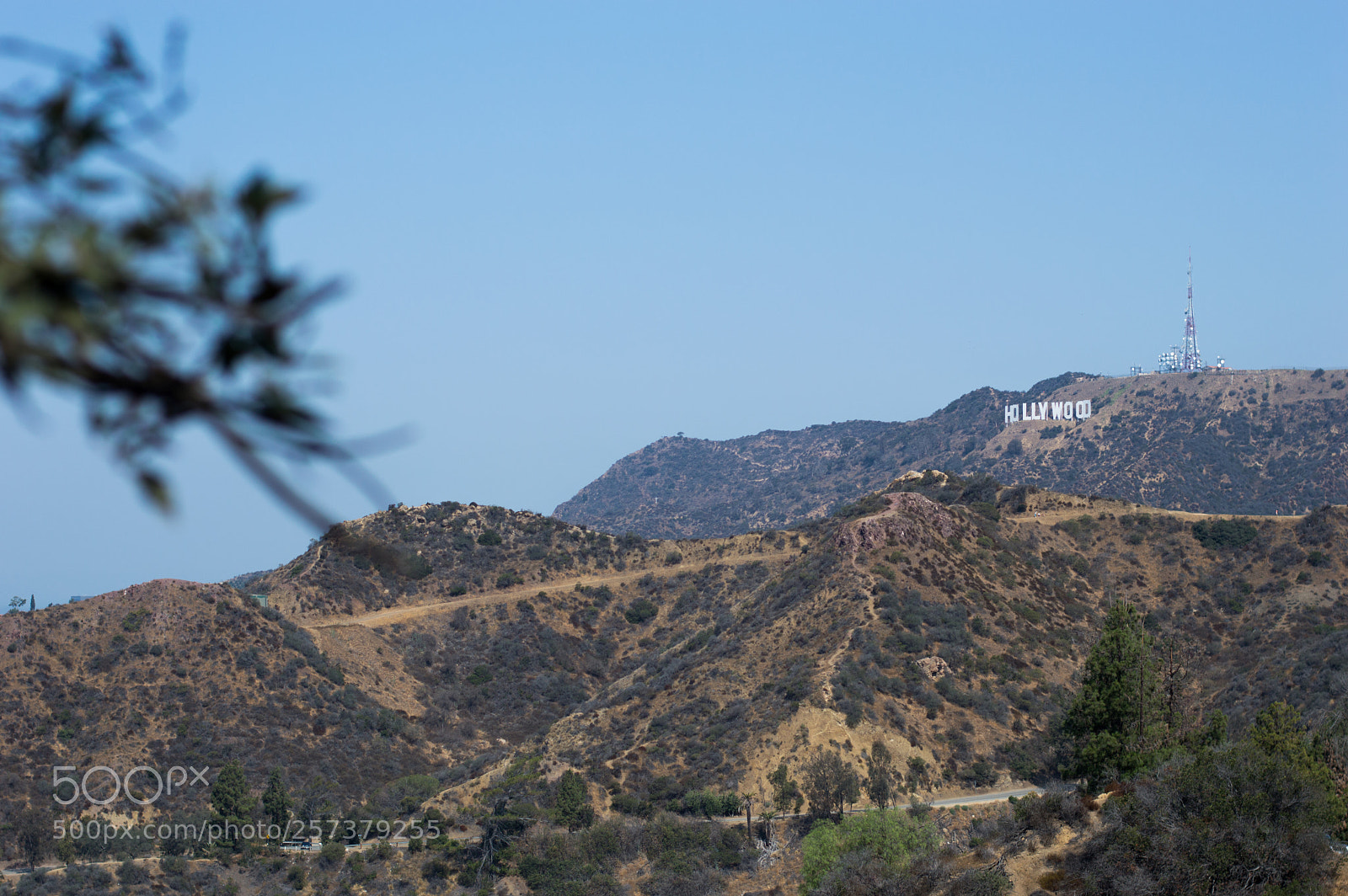 Nikon D3200 sample photo. Hollywood photography