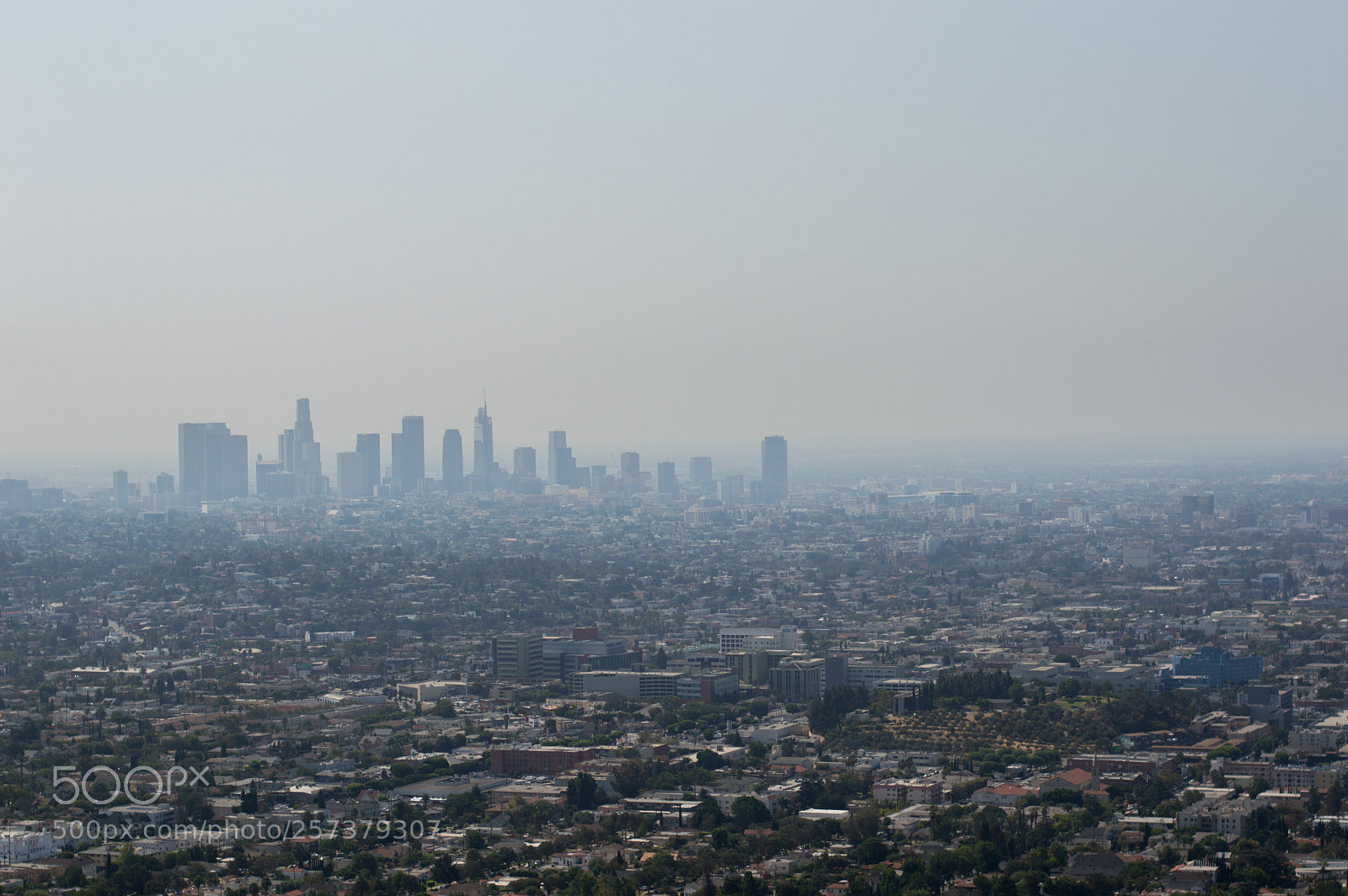 Nikon D3200 sample photo. Downtown la photography