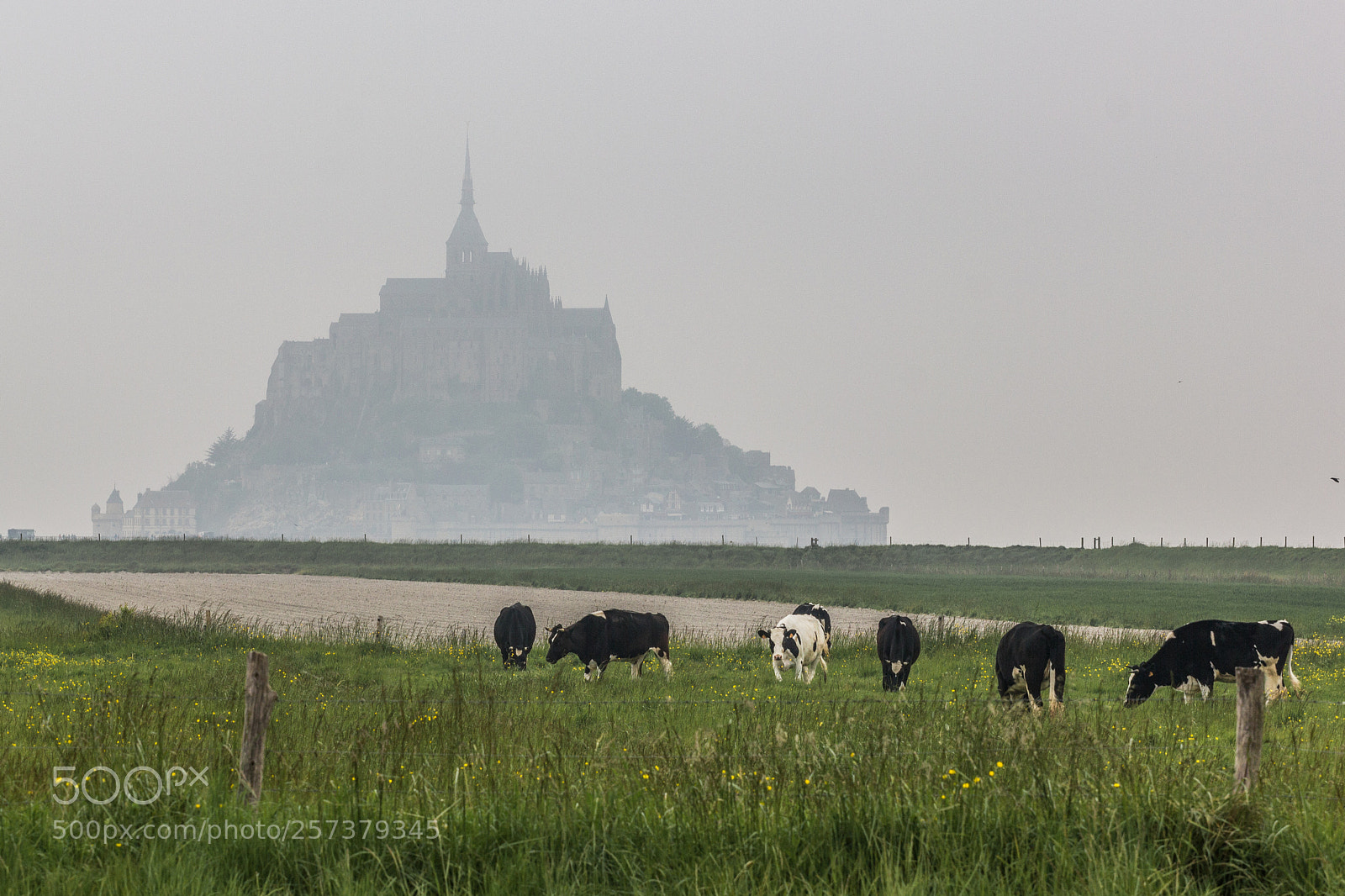 Canon EOS 550D (EOS Rebel T2i / EOS Kiss X4) sample photo. Mont-saint-michel photography