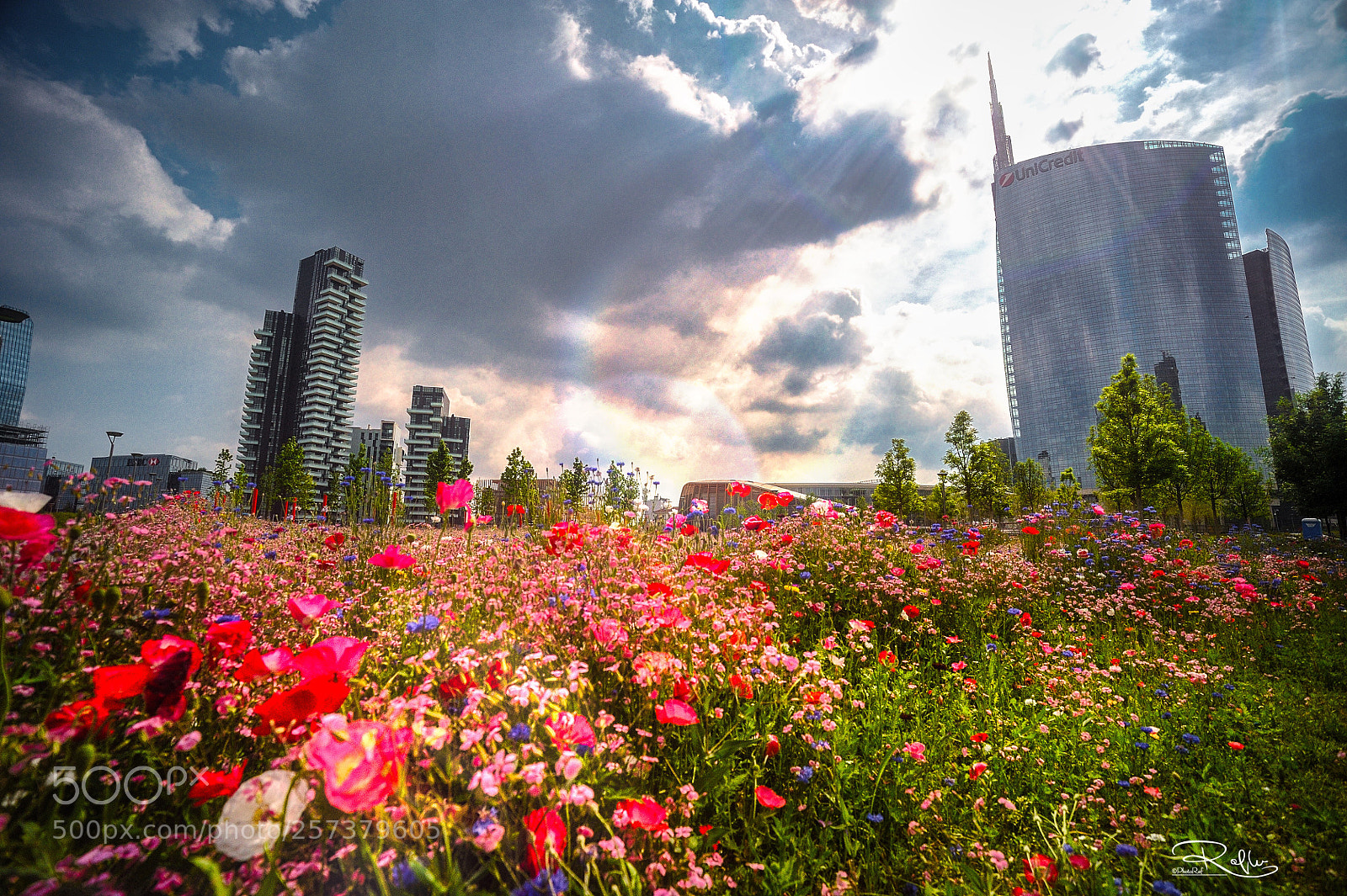 Nikon D3 sample photo. Milano porta nuova photography