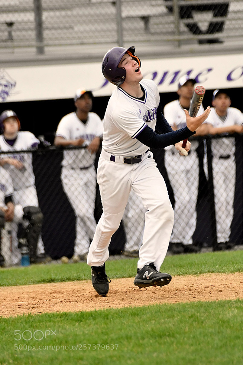 Nikon D500 sample photo. 5-2_0309.jpg photography