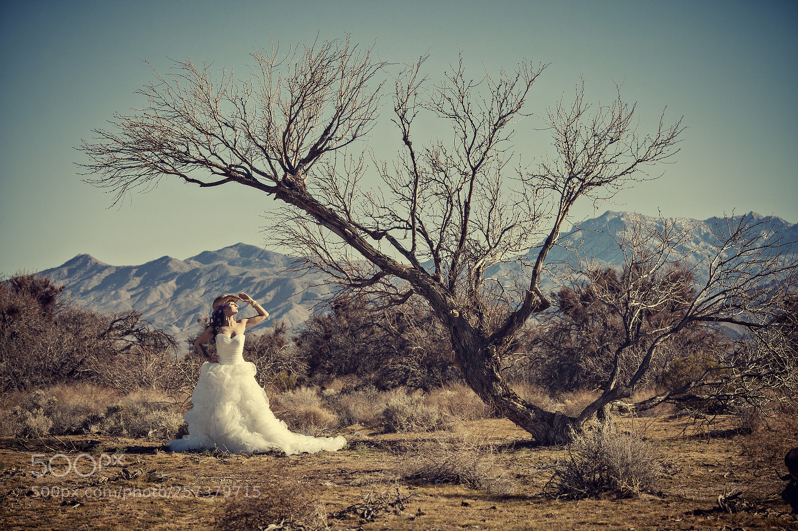 Canon EOS-1D X sample photo. Desert dress photography