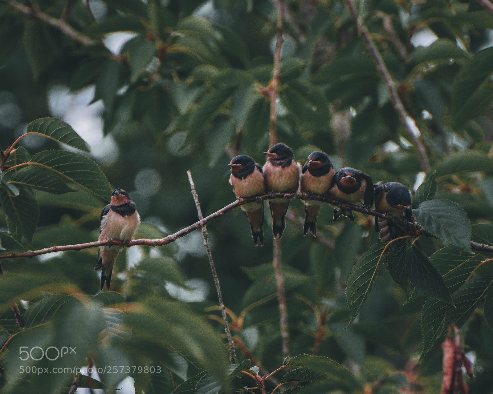 Nikon D3300 sample photo. () photography