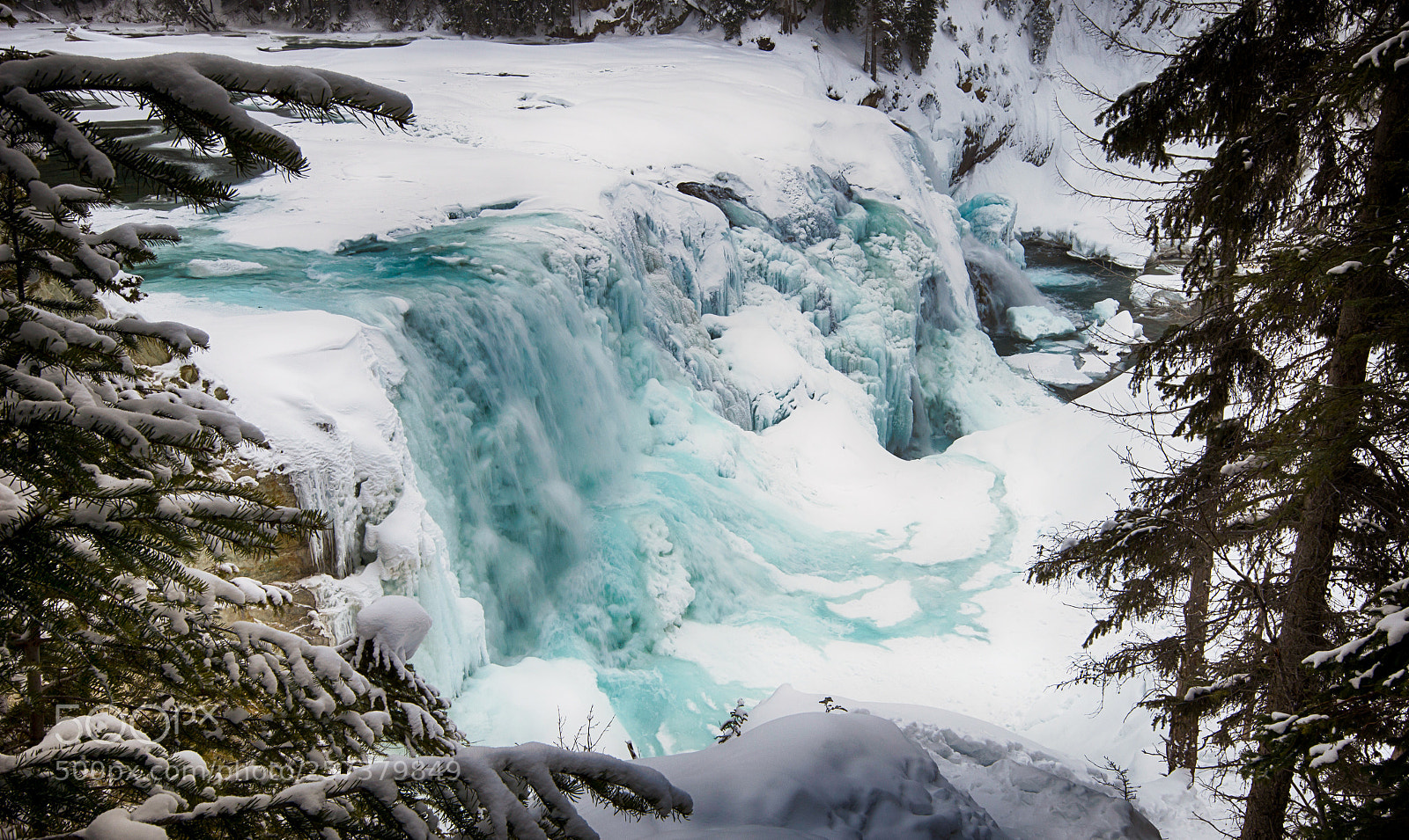 Nikon D800 sample photo. Wapta falls photography