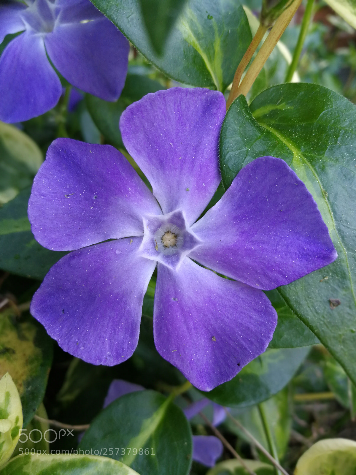 HUAWEI P10 sample photo. Untitled photography
