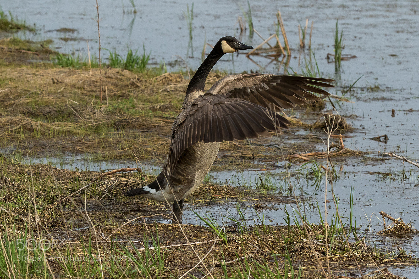Canon EOS 7D Mark II sample photo. Flight check photography
