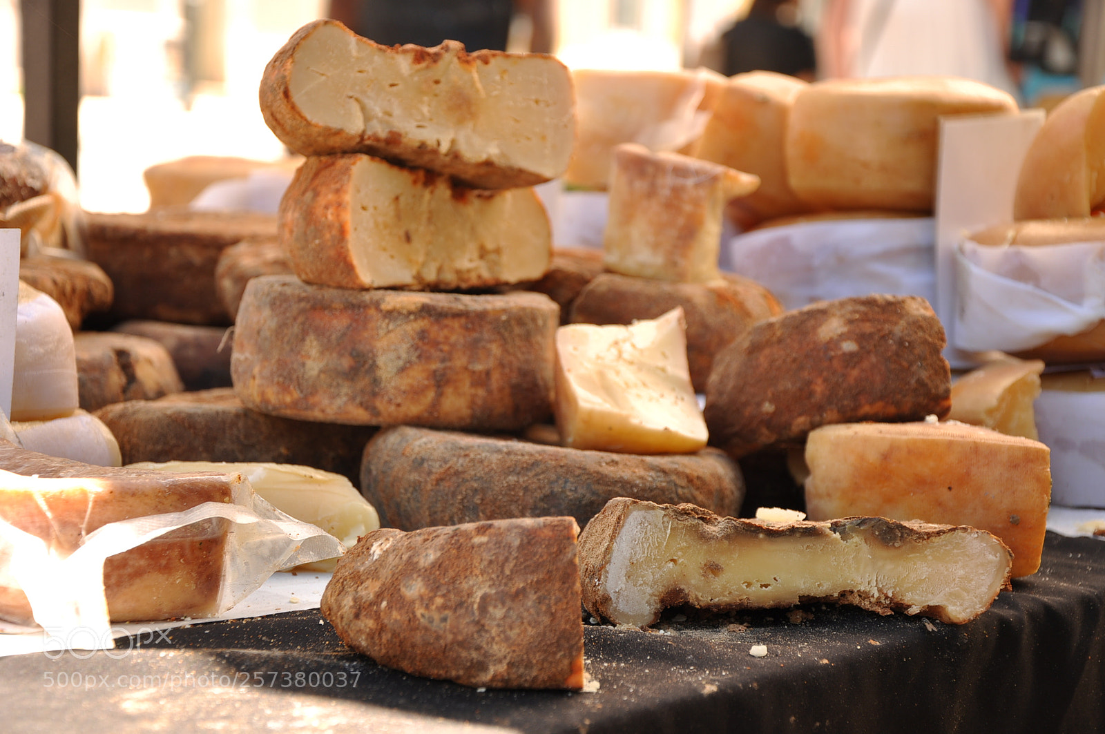 Nikon D90 sample photo. Cheese photography