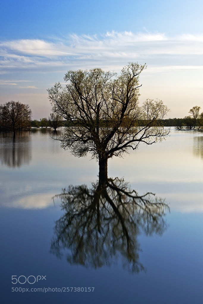 Canon EOS 7D Mark II sample photo. Reflection photography