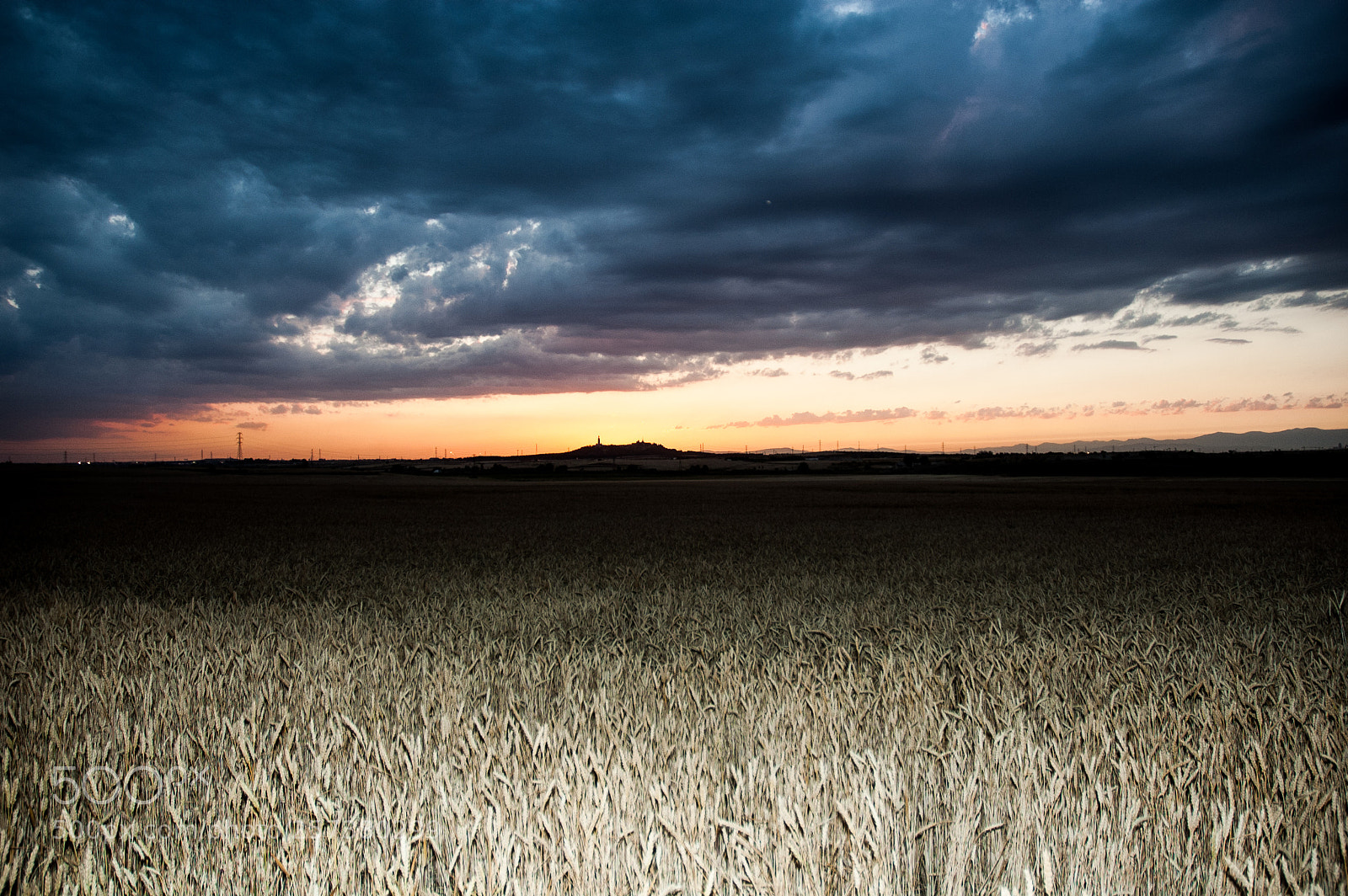 Nikon D70s sample photo. Wheat fiedls waiting for photography