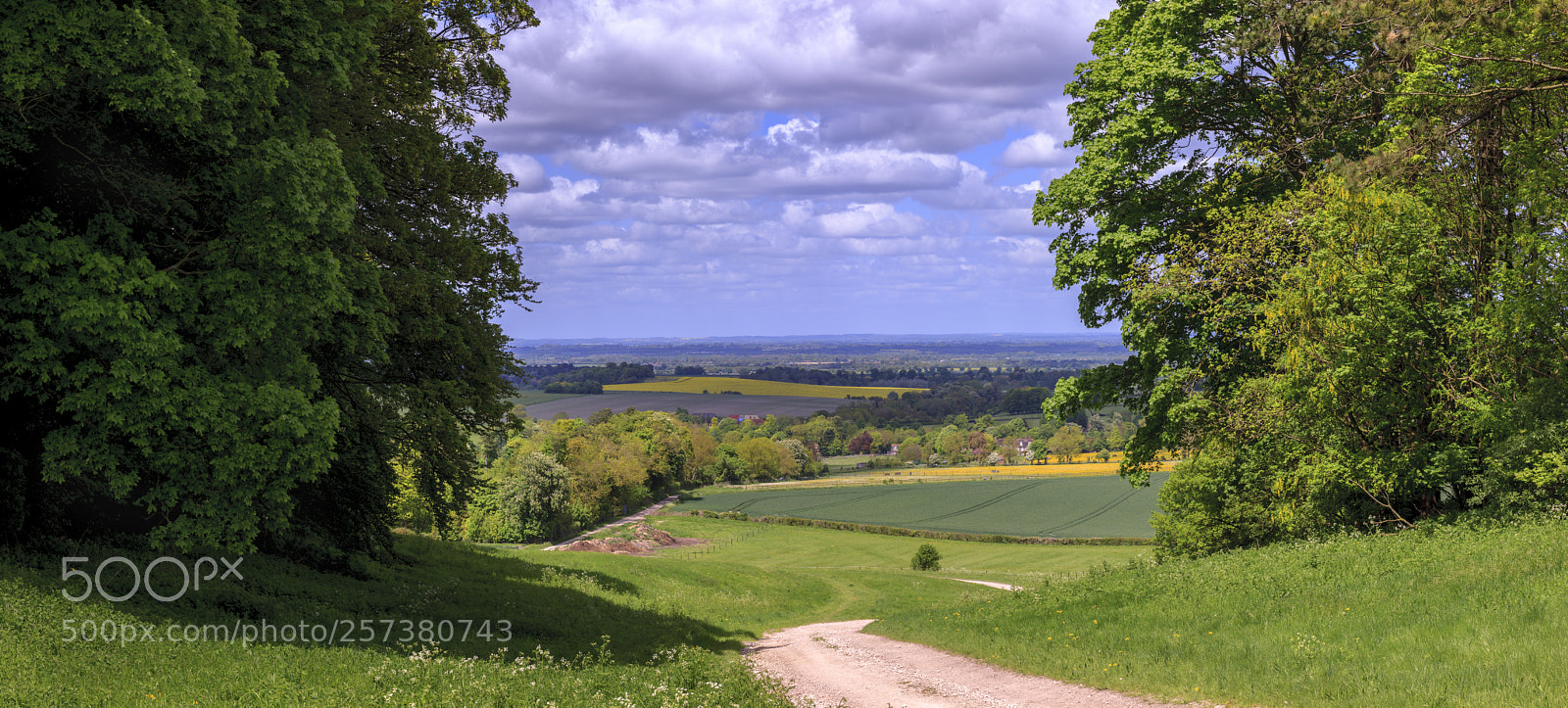 Canon EOS-1Ds Mark III sample photo. Country road panoramic photography