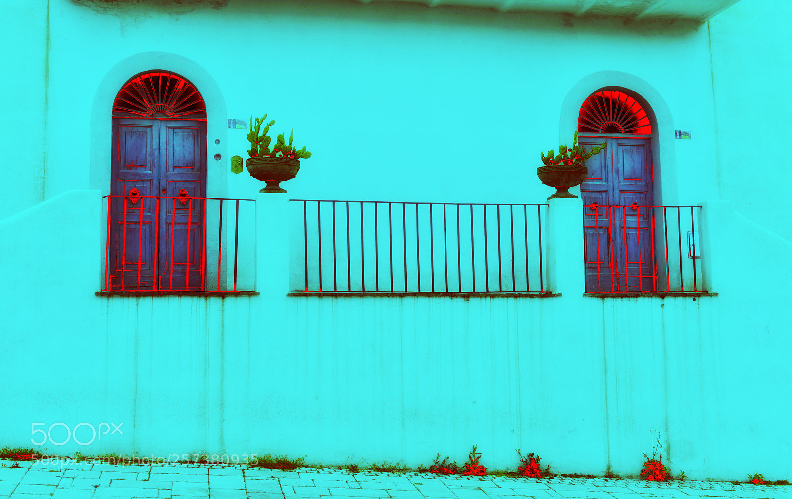 Nikon D610 sample photo. Colors photography
