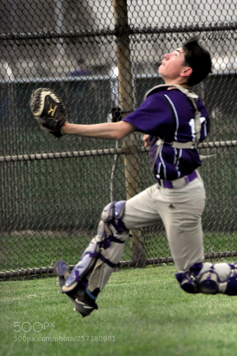 Nikon D500 sample photo. 5-2_0155.jpg photography