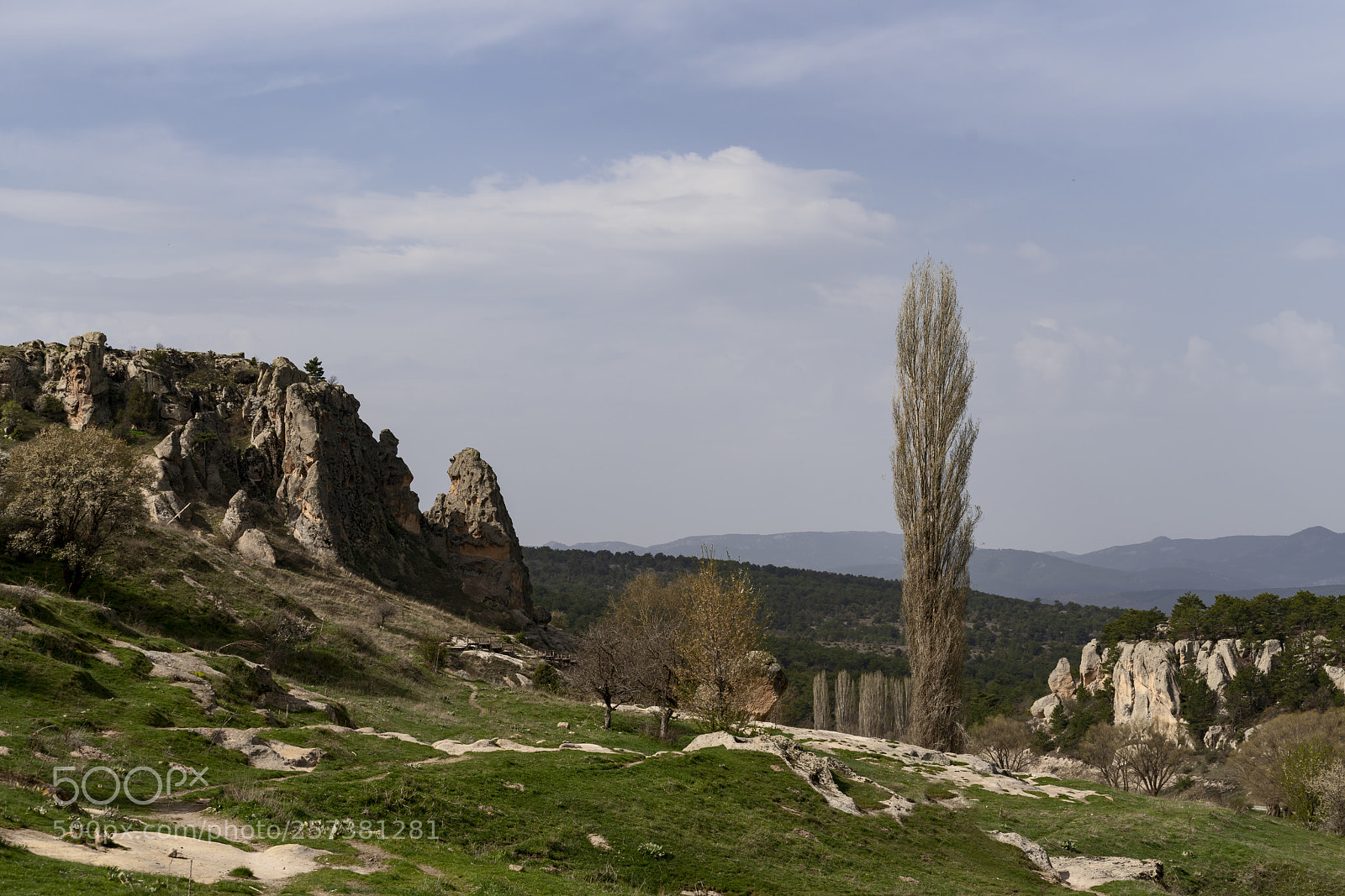 Sony a7R III sample photo. Dsc photography
