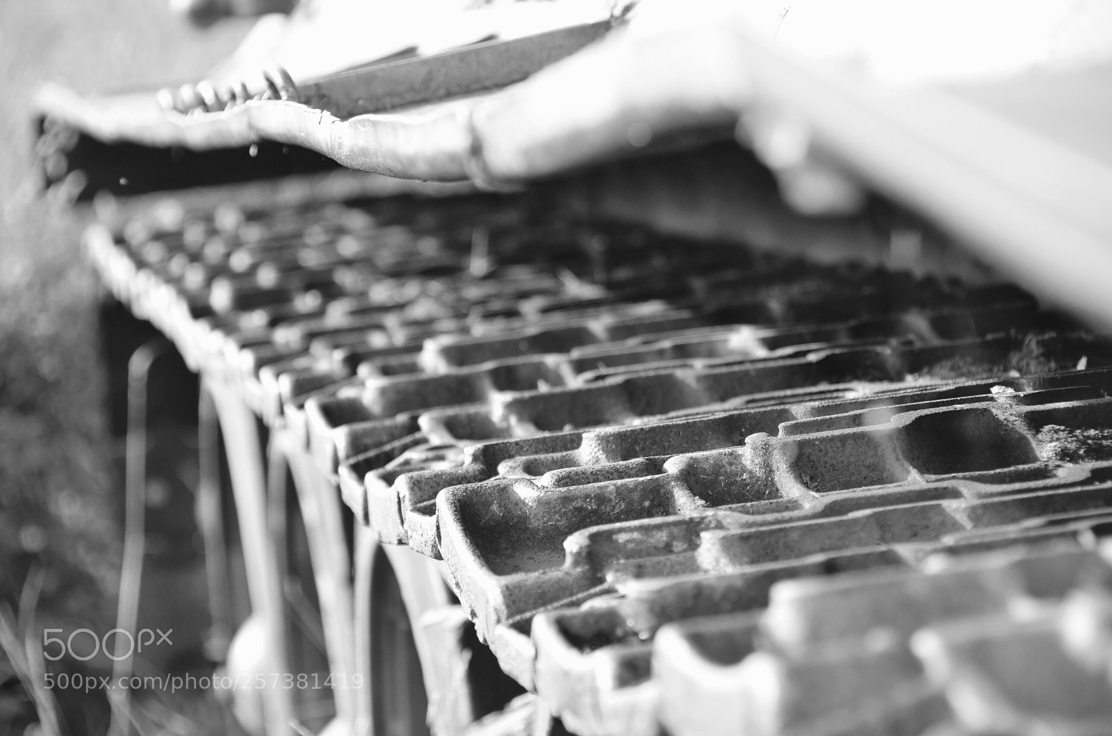 Nikon D7000 sample photo. Untitled photography