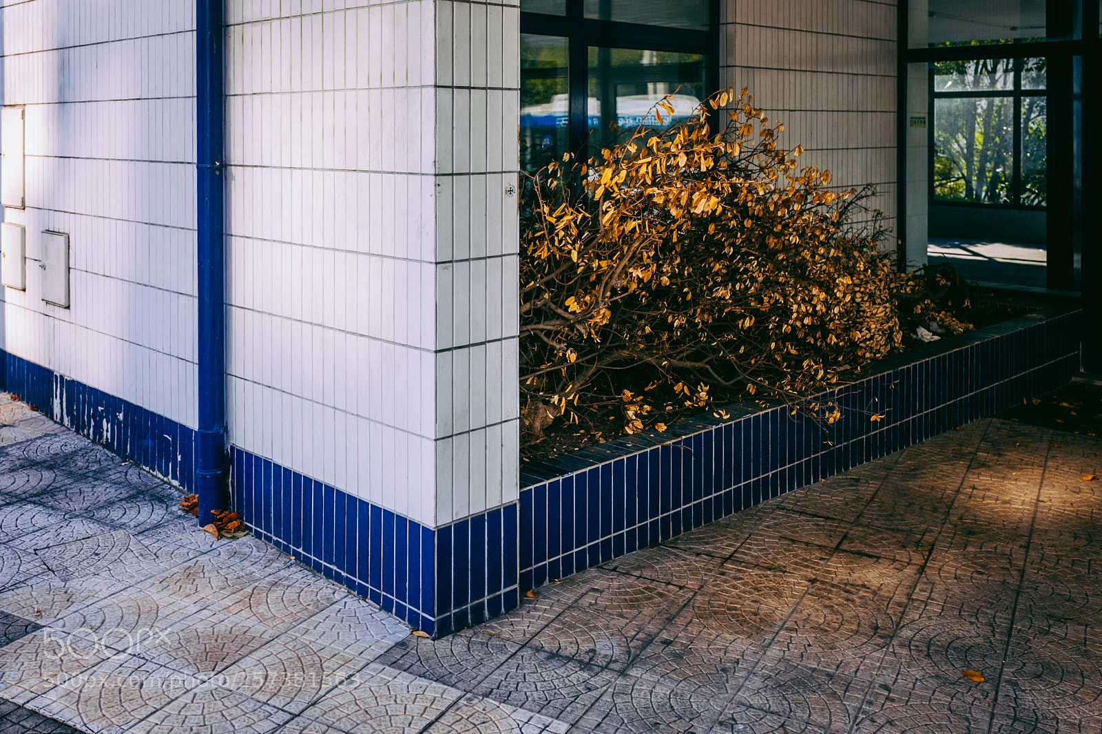 Canon EOS 5D Mark II sample photo. Untitled photography