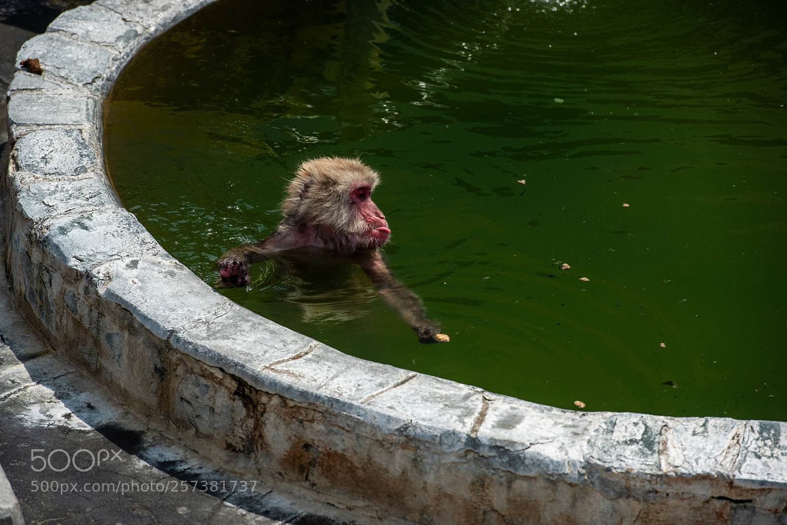 Nikon D810 sample photo. Bath time photography