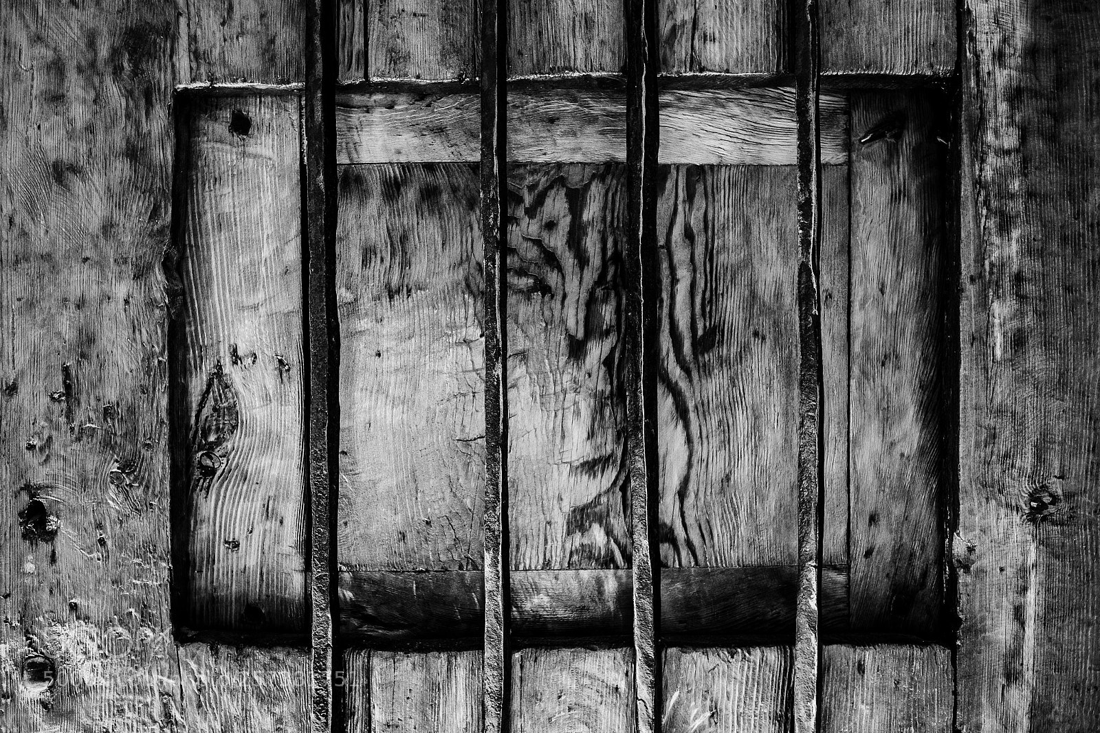 Fujifilm X-T2 sample photo. Closed photography