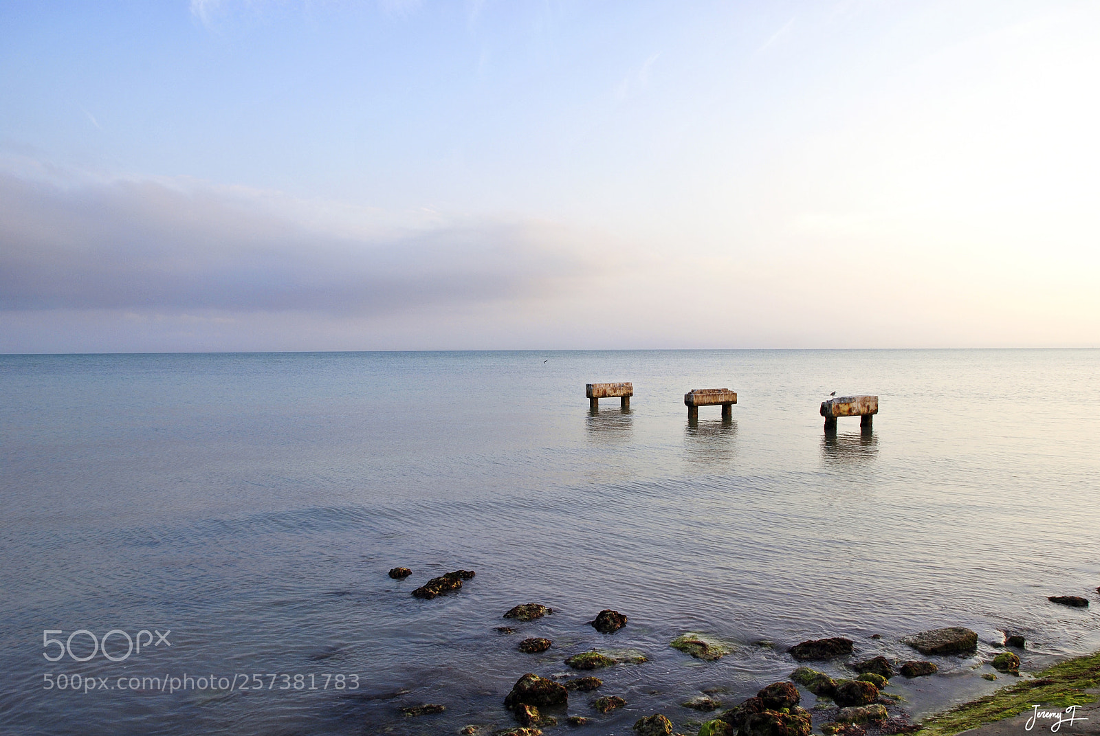 Nikon D3000 sample photo. Florida's peace - miami photography