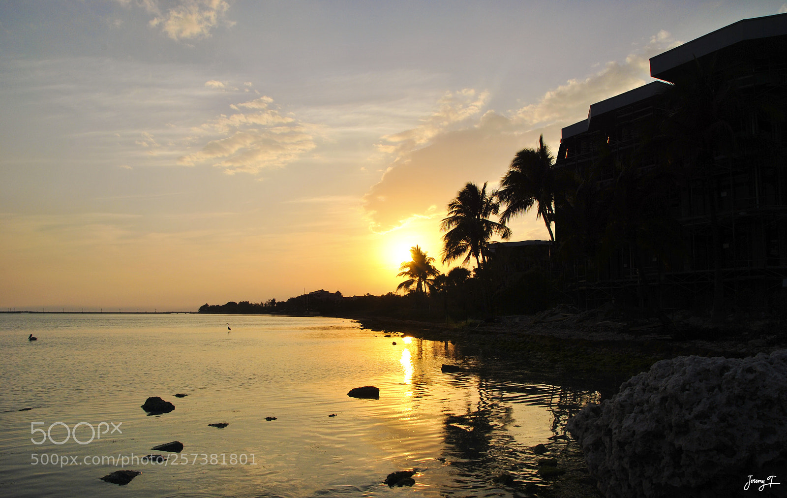 Nikon D3000 sample photo. Until the night photography