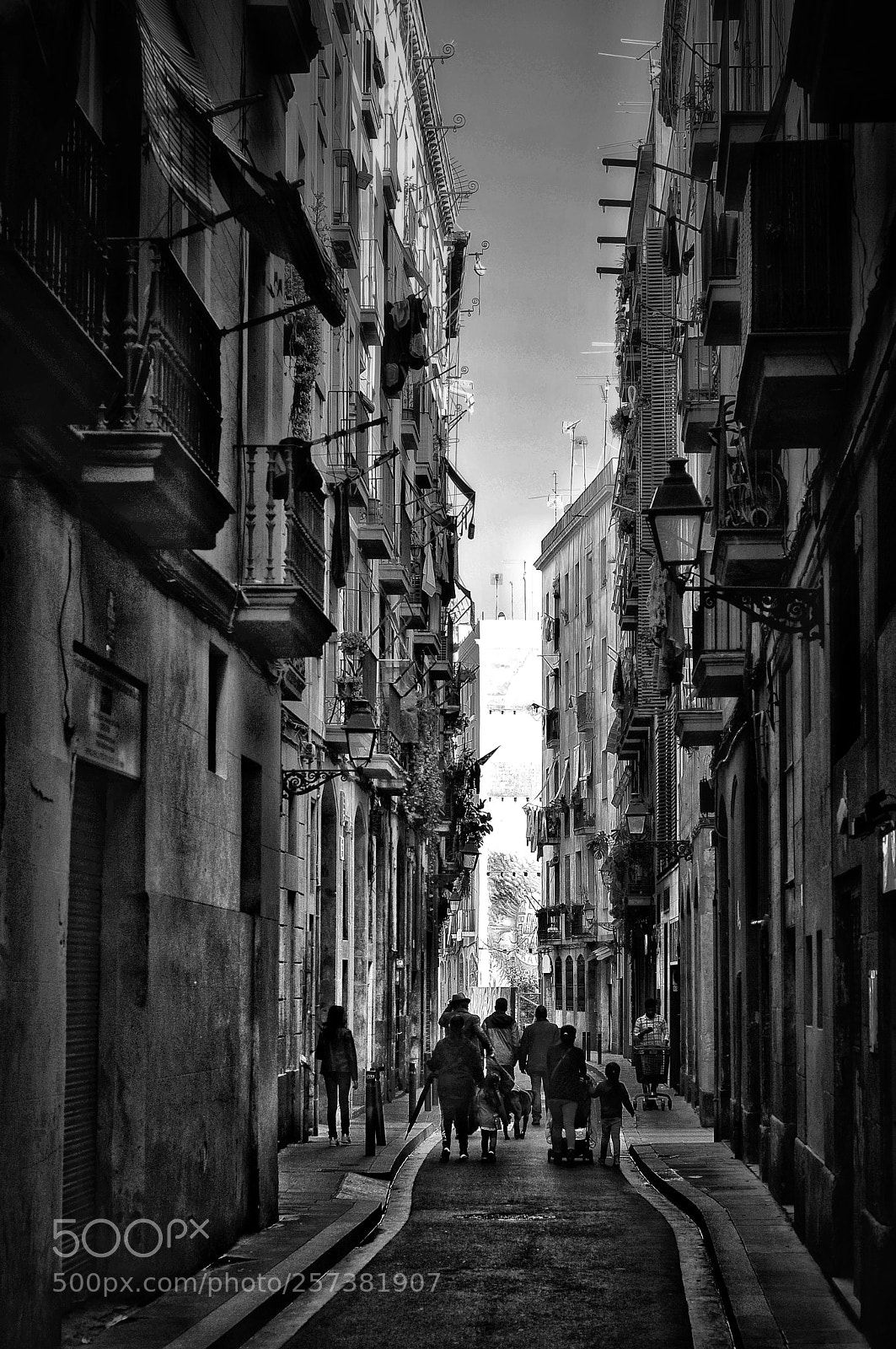 Nikon D300S sample photo. Untitled photography