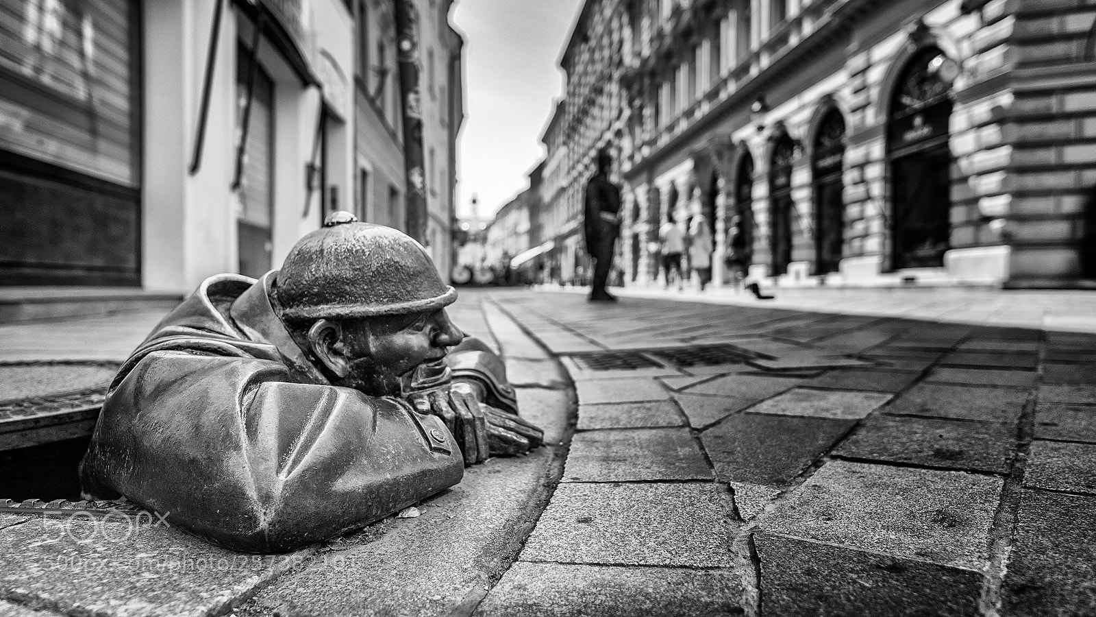 Nikon D500 sample photo. Now they re watchin photography