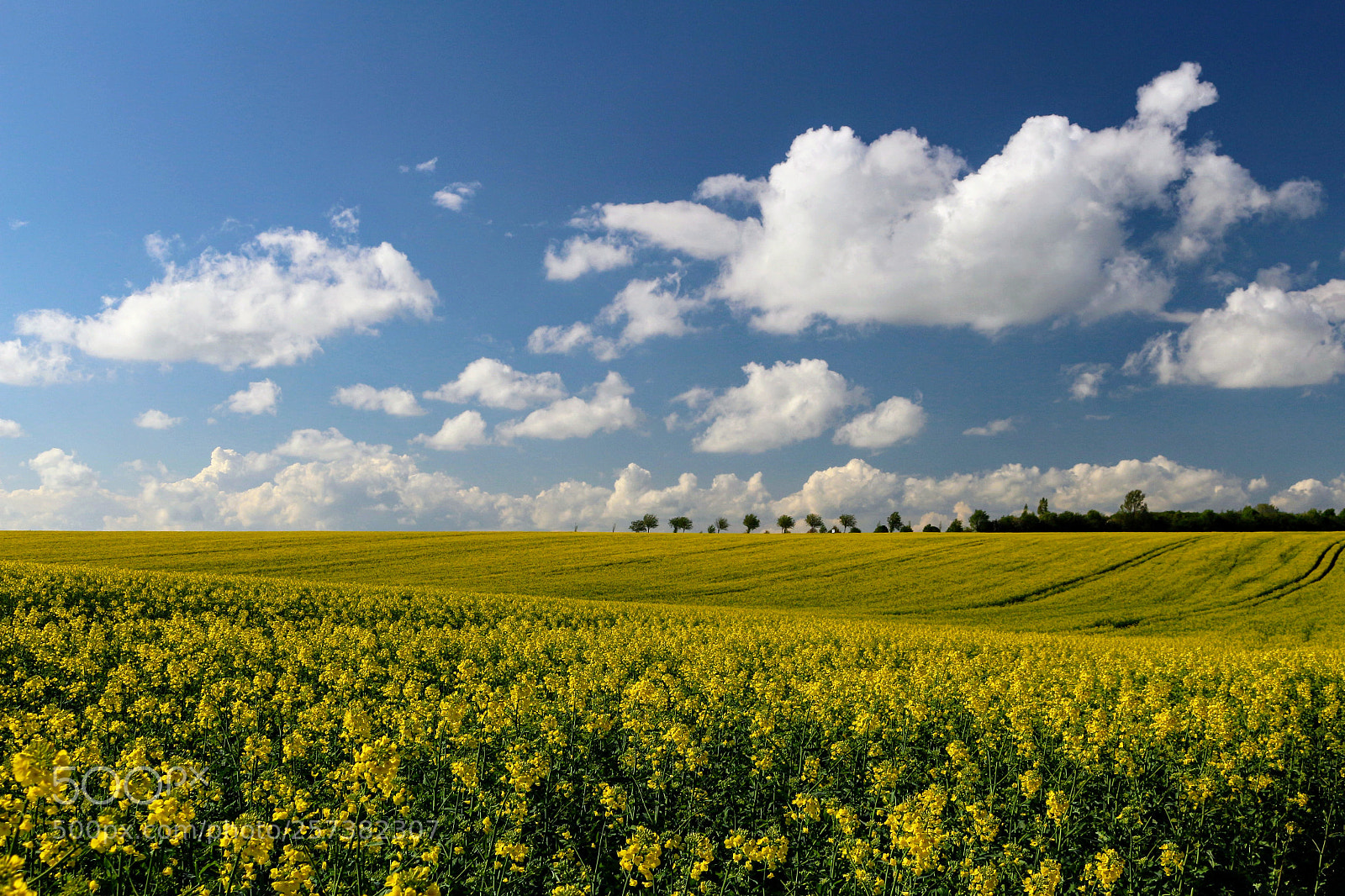 Canon EOS 100D (EOS Rebel SL1 / EOS Kiss X7) sample photo. German landscape in spring photography